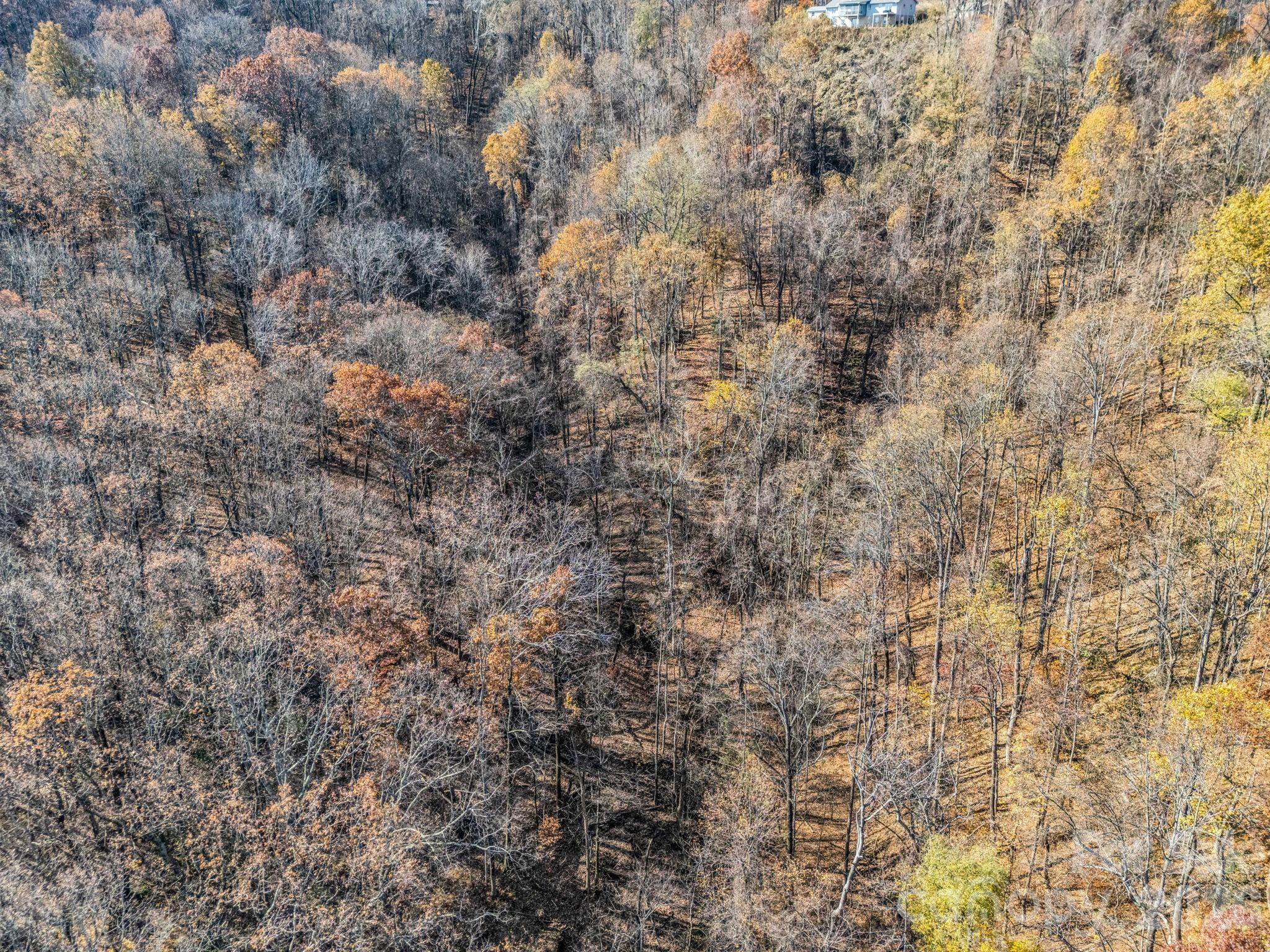 9999 Country Club Road Tryon, NC 28782 - Photo 26 of 31