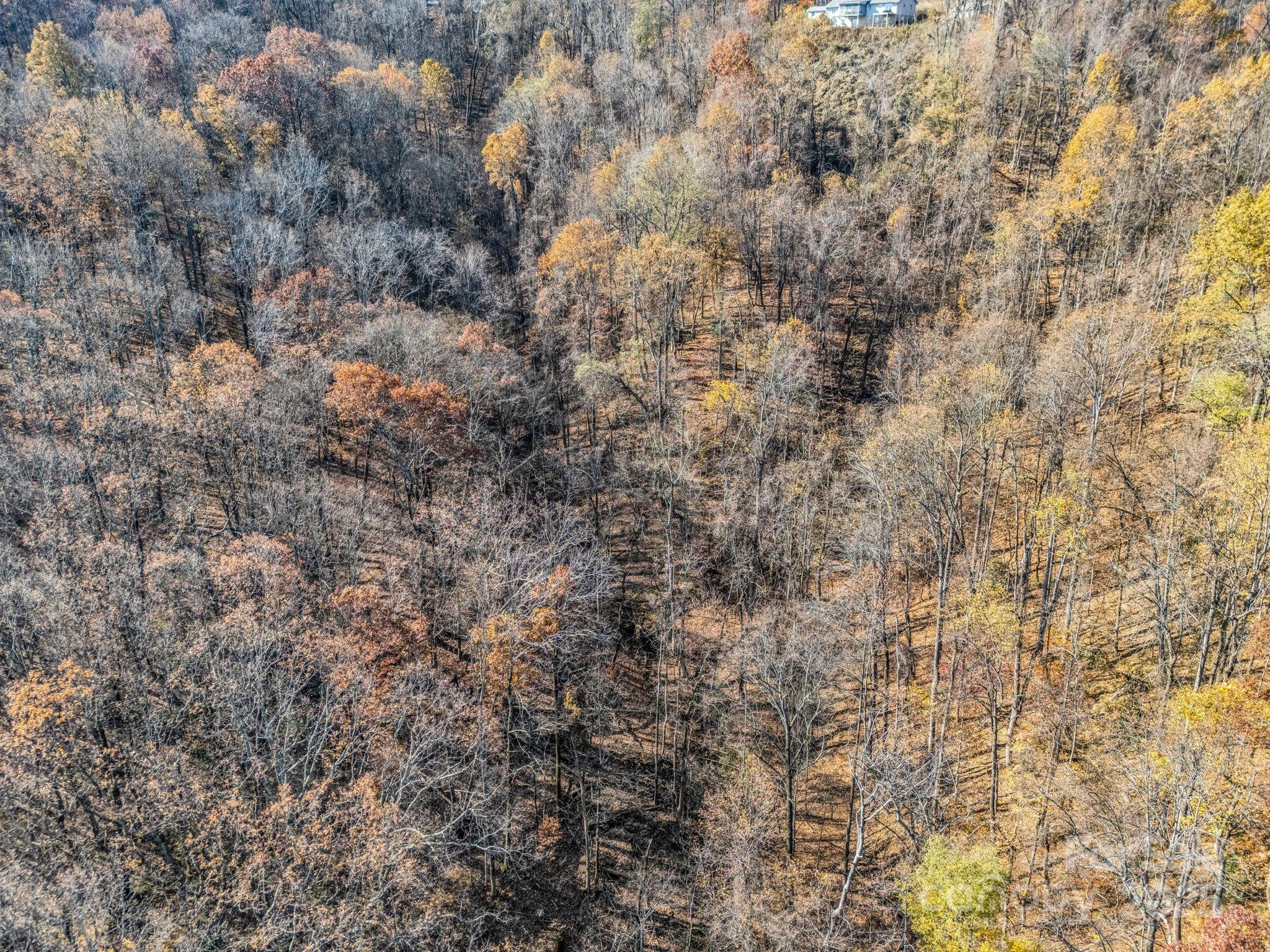 9999 Country Club Road Tryon, NC 28782 - Photo 26 of 31