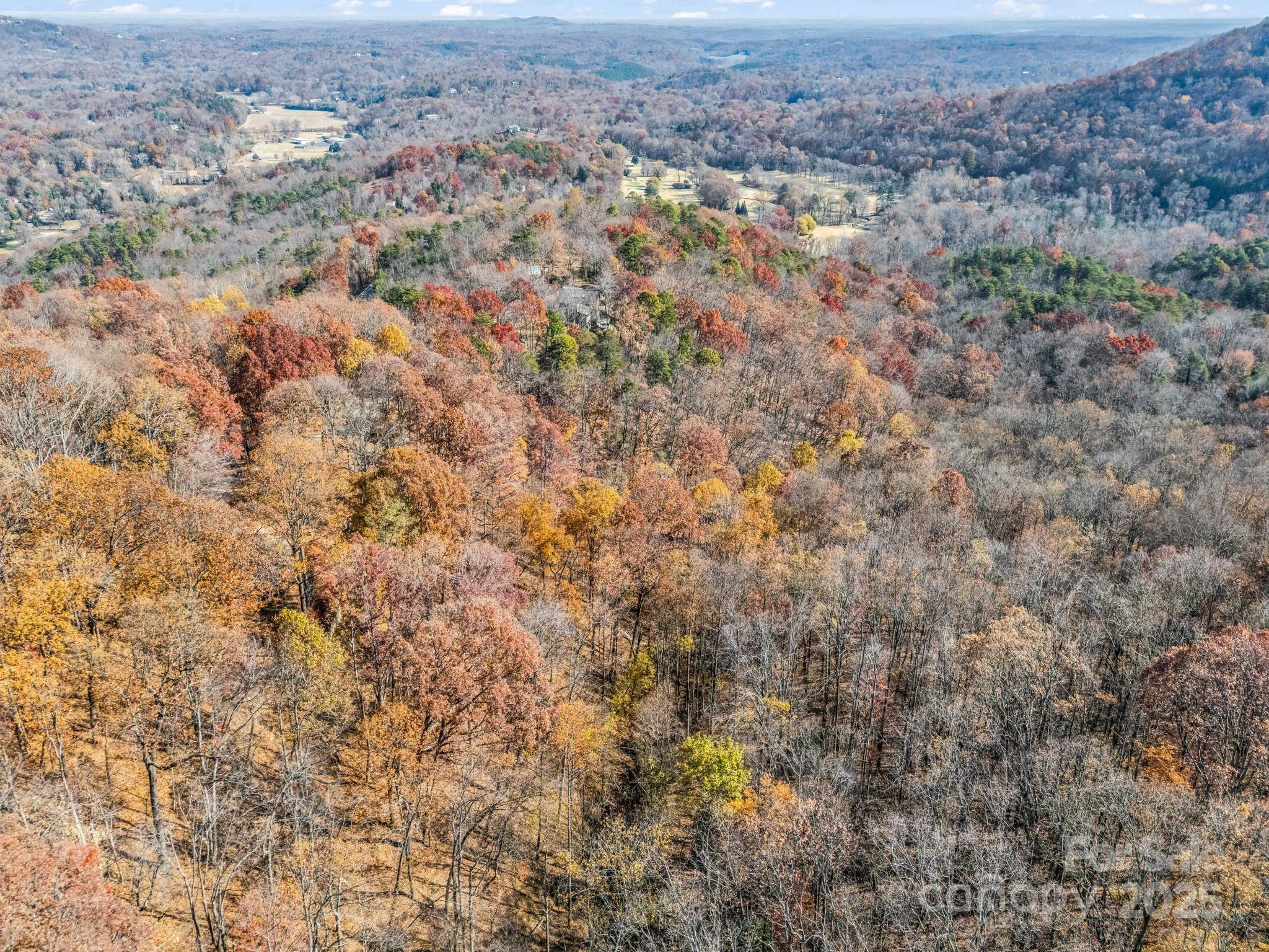 9999 Country Club Road Tryon, NC 28782 - Photo 27 of 31 a view of a city with lush green forest