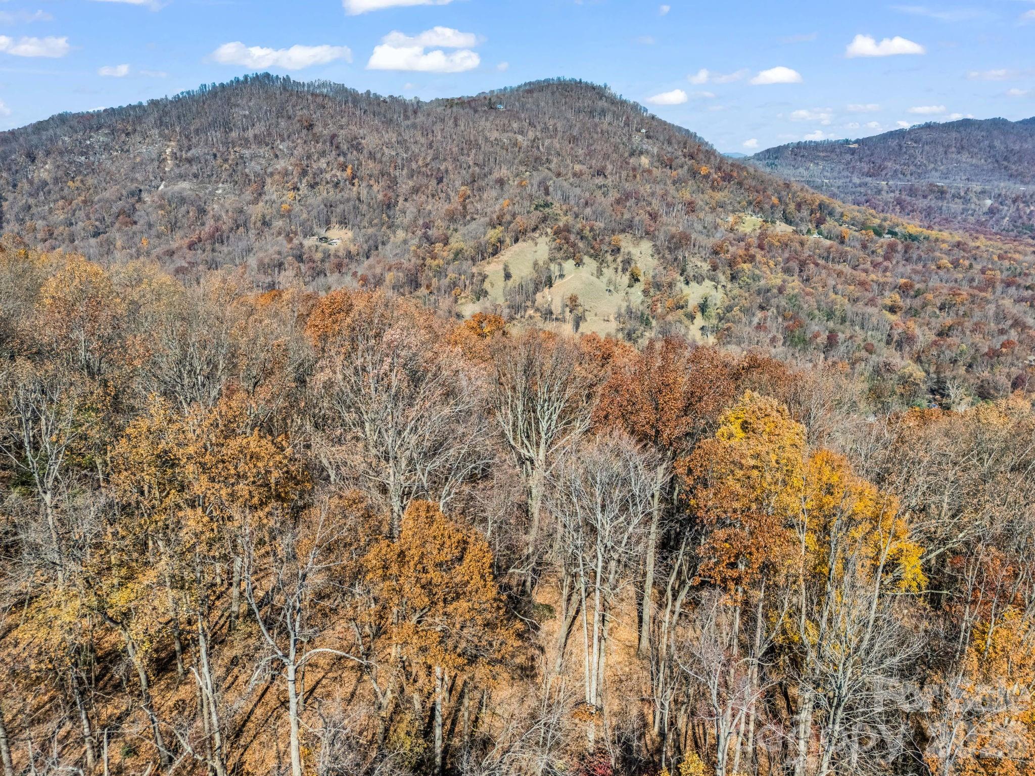 9999 Country Club Road Tryon, NC 28782 - Photo 28 of 31