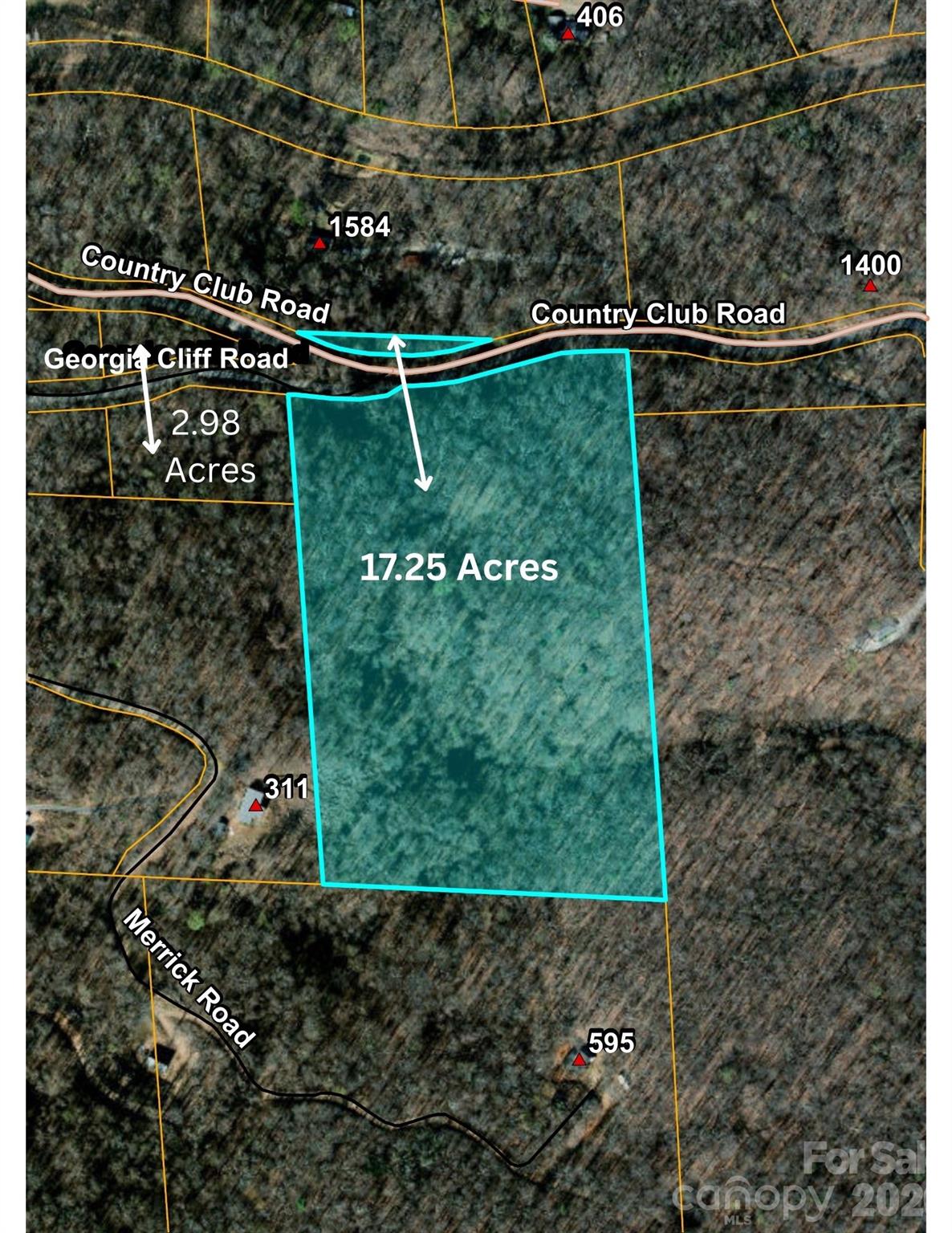 9999 Country Club Road Tryon, NC 28782 - Photo 3 of 31