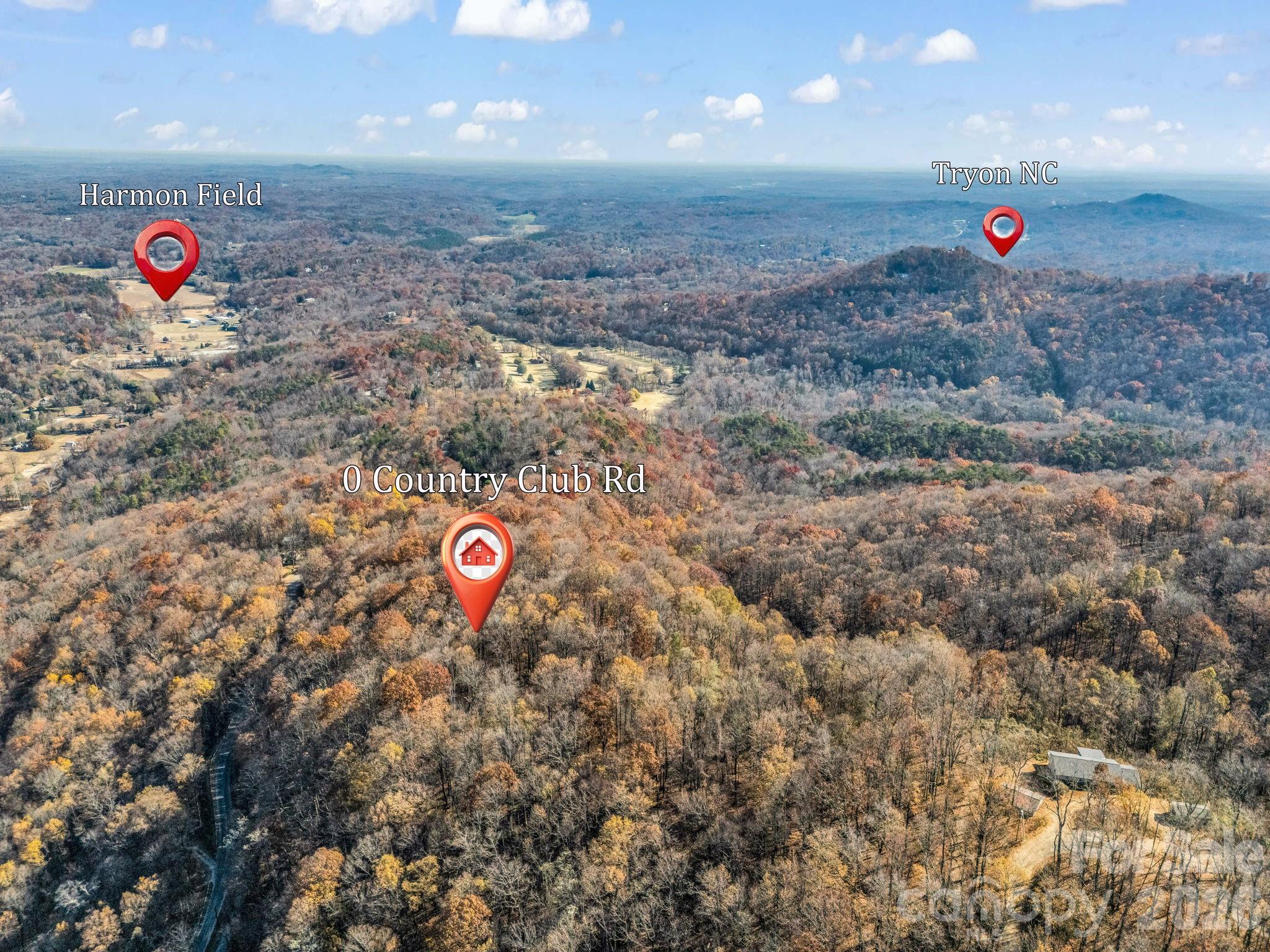 9999 Country Club Road Tryon, NC 28782 - Photo 4 of 31