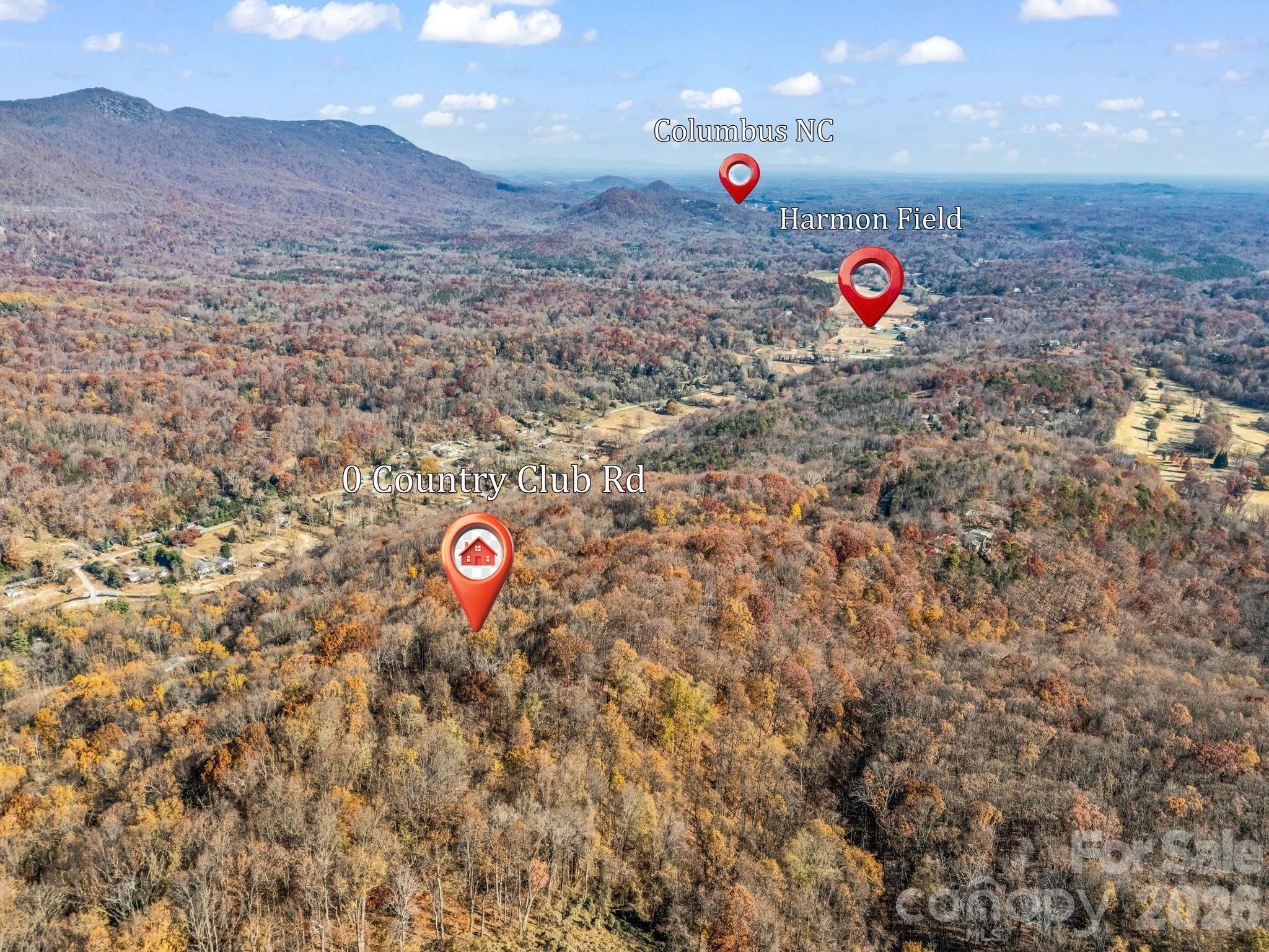 9999 Country Club Road Tryon, NC 28782 - Photo 5 of 31