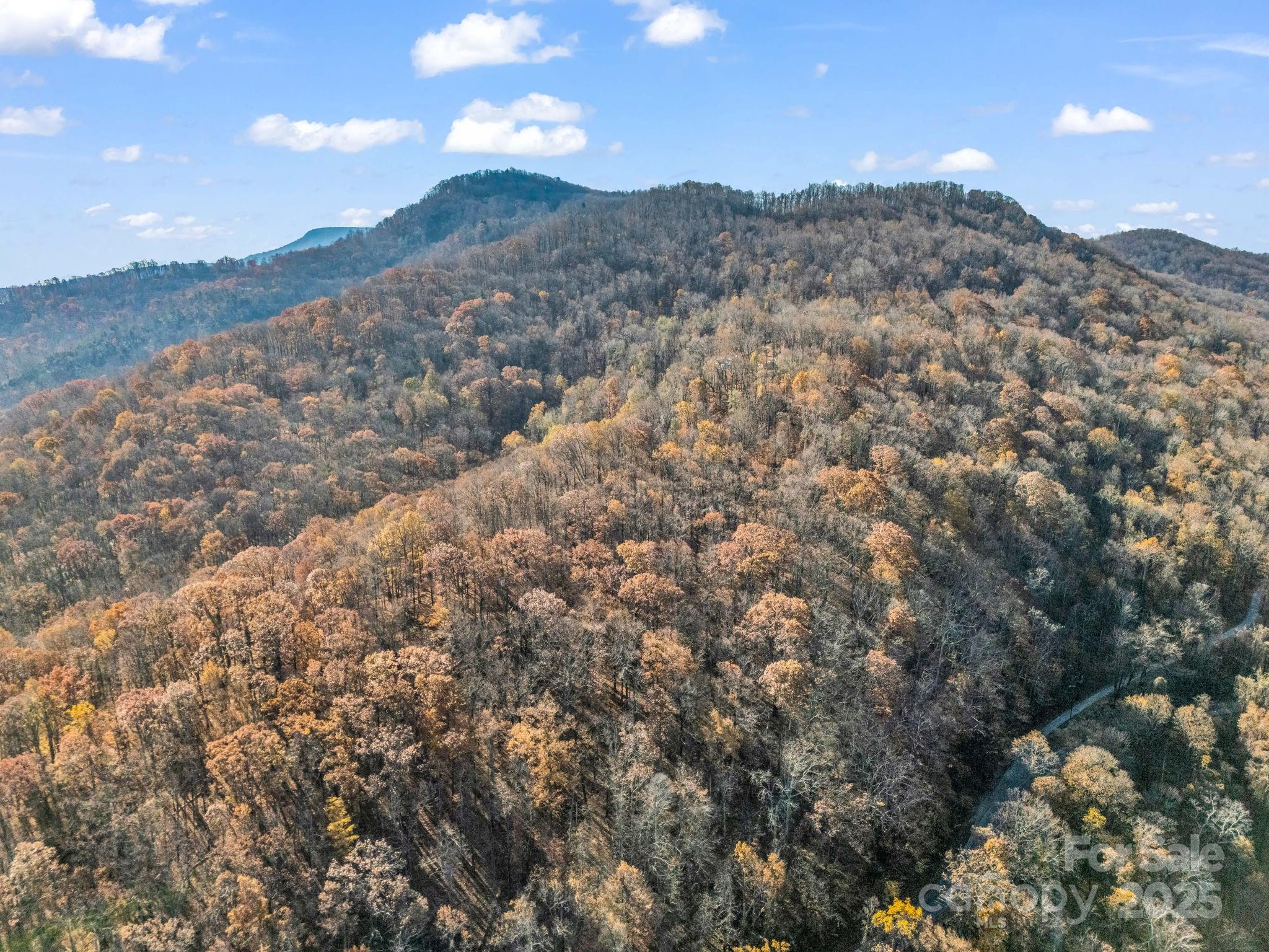 9999 Country Club Road Tryon, NC 28782 - Photo 6 of 31 a view of a dry yard with mountains in the background