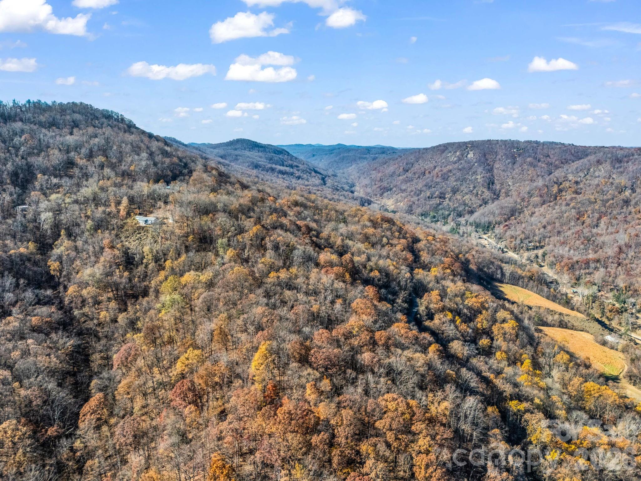 9999 Country Club Road Tryon, NC 28782 - Photo 8 of 31