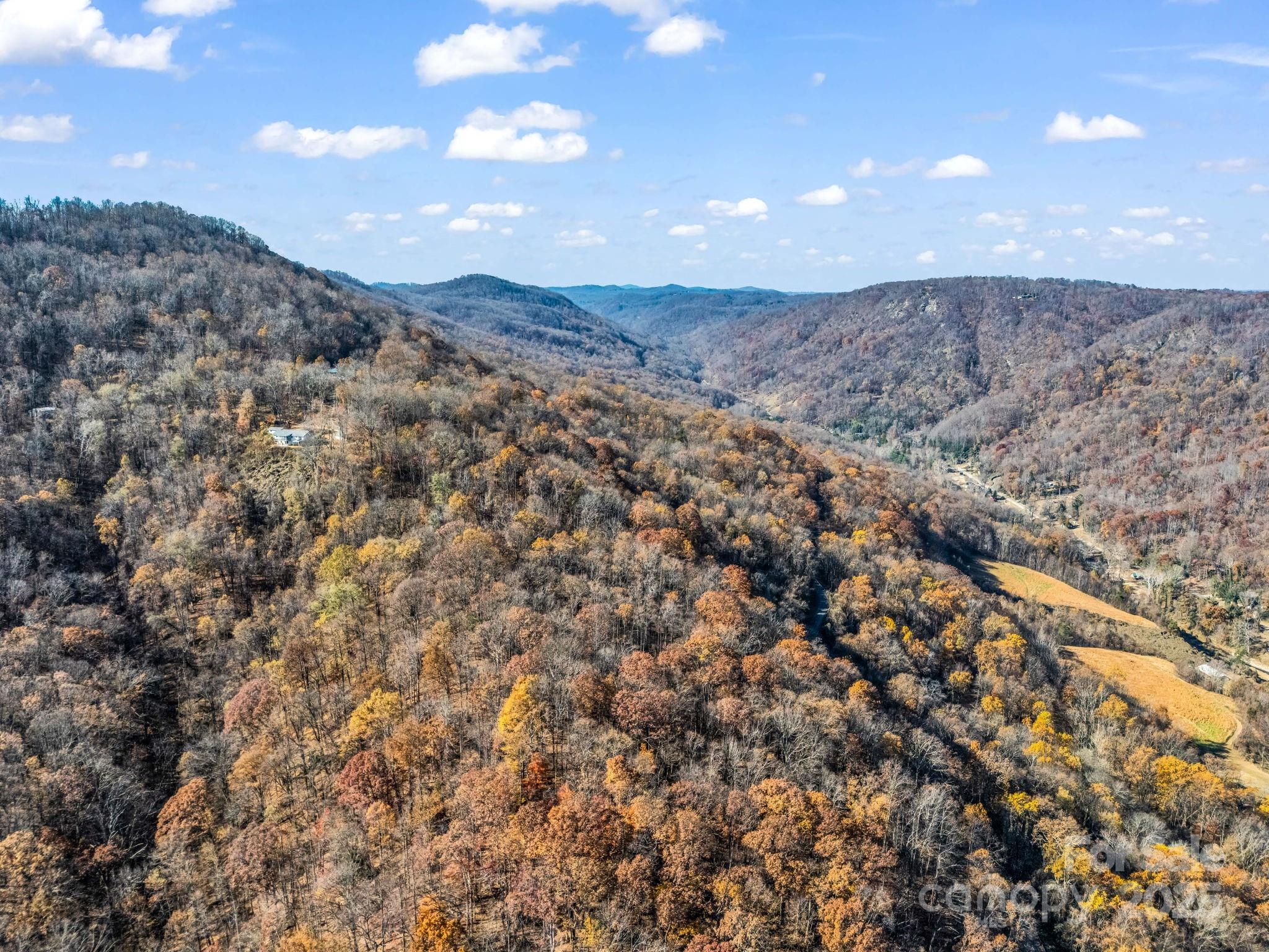 9999 Country Club Road Tryon, NC 28782 - Photo 8 of 31 a view of a dry yard with mountains in the background