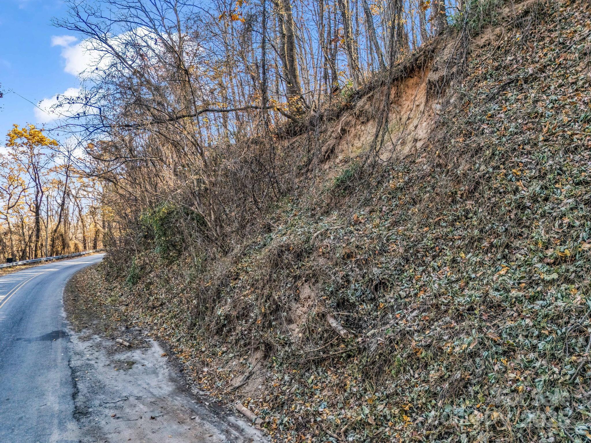9999 Country Club Road Tryon, NC 28782 - Photo 9 of 31 a view of a yard with a tree
