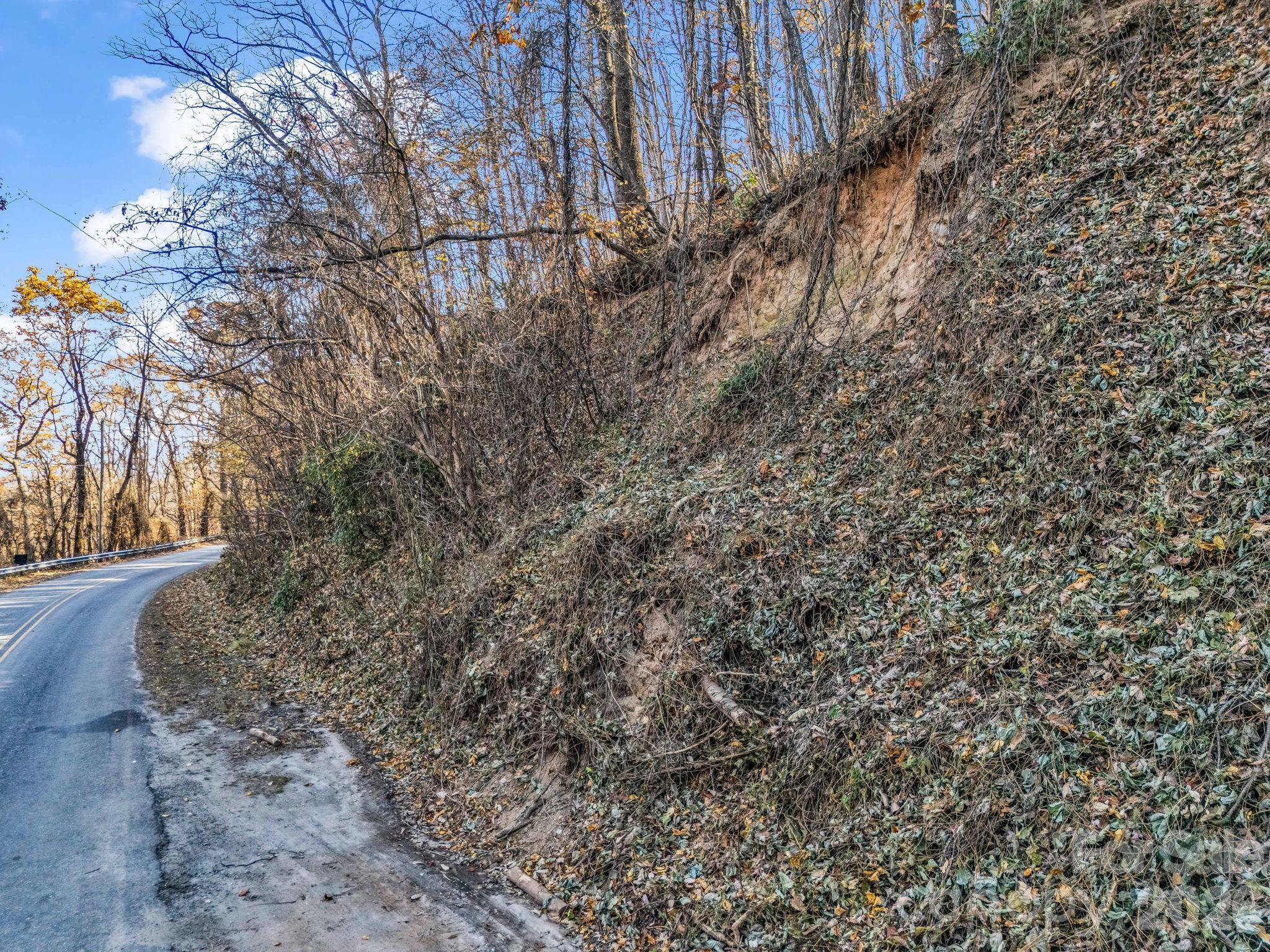 9999 Country Club Road Tryon, NC 28782 - Photo 9 of 31