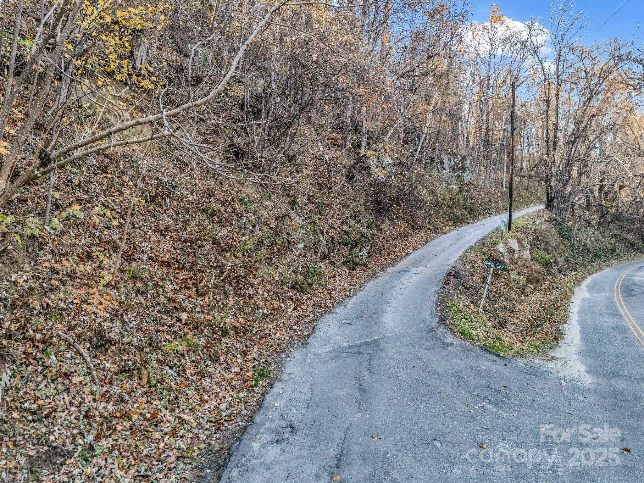 9999 Country Club Road Tryon, NC 28782 - Photo 10 of 31 a view of a dry yard with trees