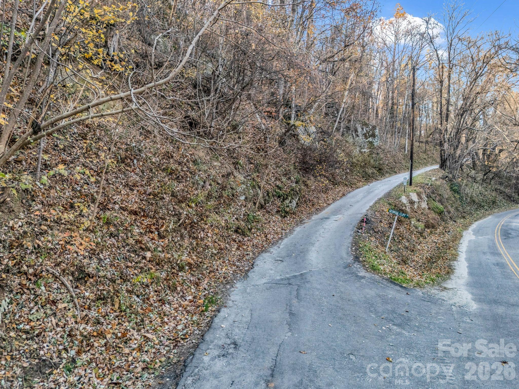 9999 Country Club Road Tryon, NC 28782 - Photo 10 of 31