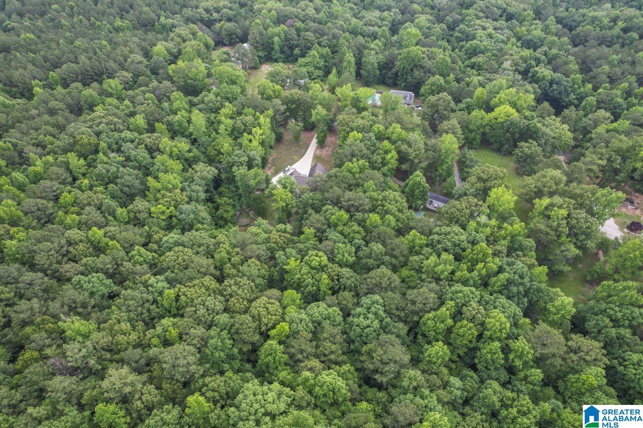 3085 McClendon Chapel Road Bessemer, AL 35022 - Photo 36 of 37