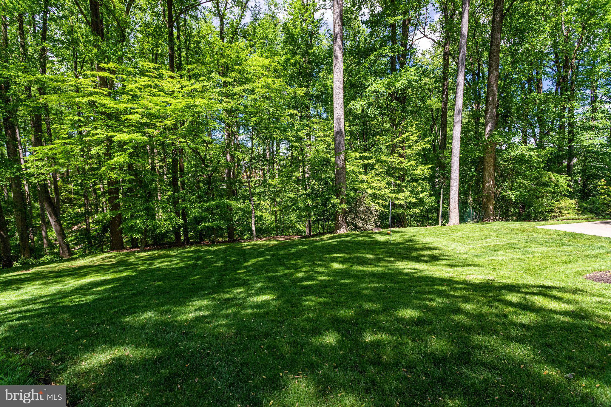 1120 Old Cedar Road McLean, VA 22102 - Photo 41 of 49 Backyard
