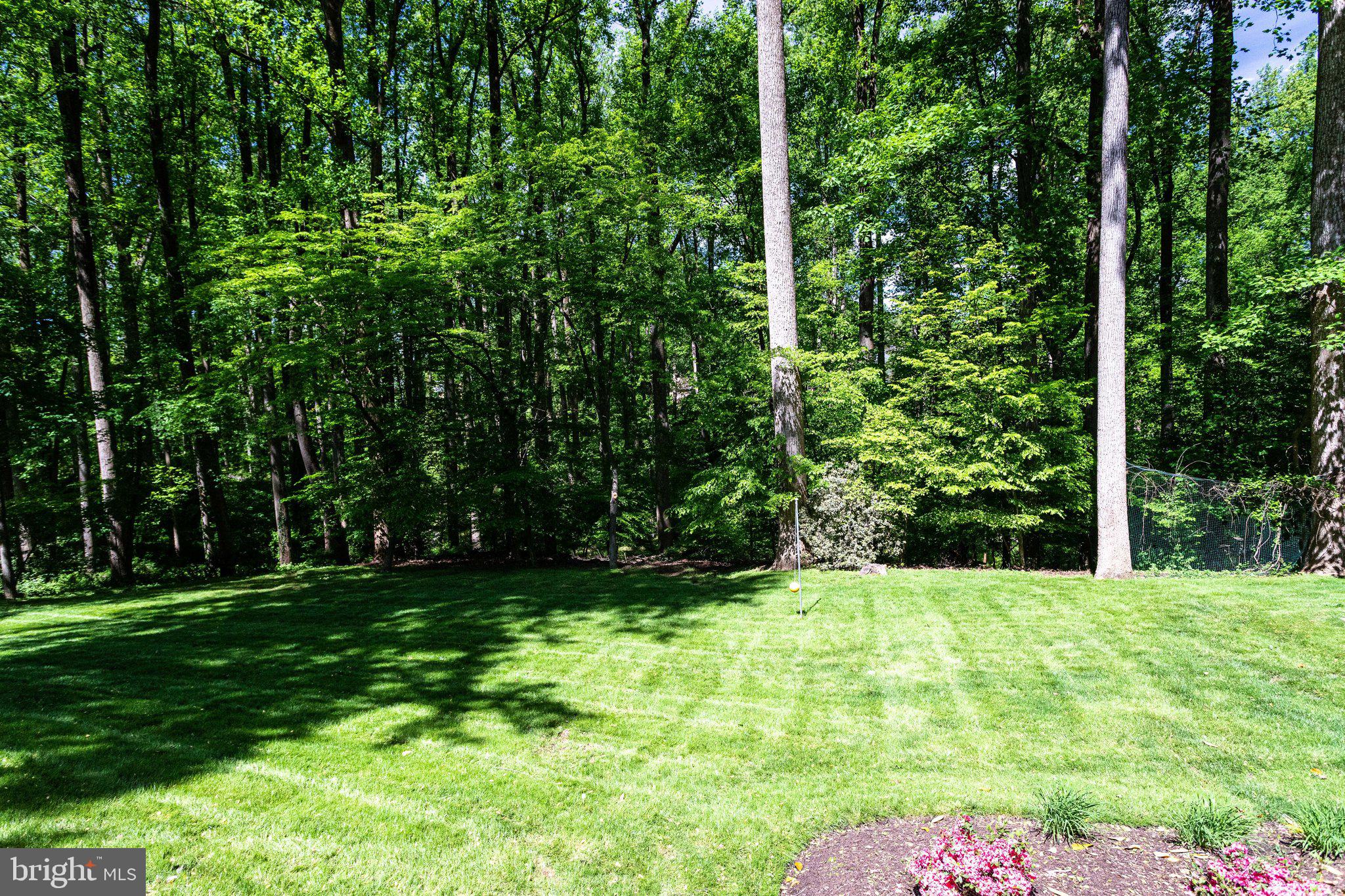 1120 Old Cedar Road McLean, VA 22102 - Photo 42 of 49 Backyard