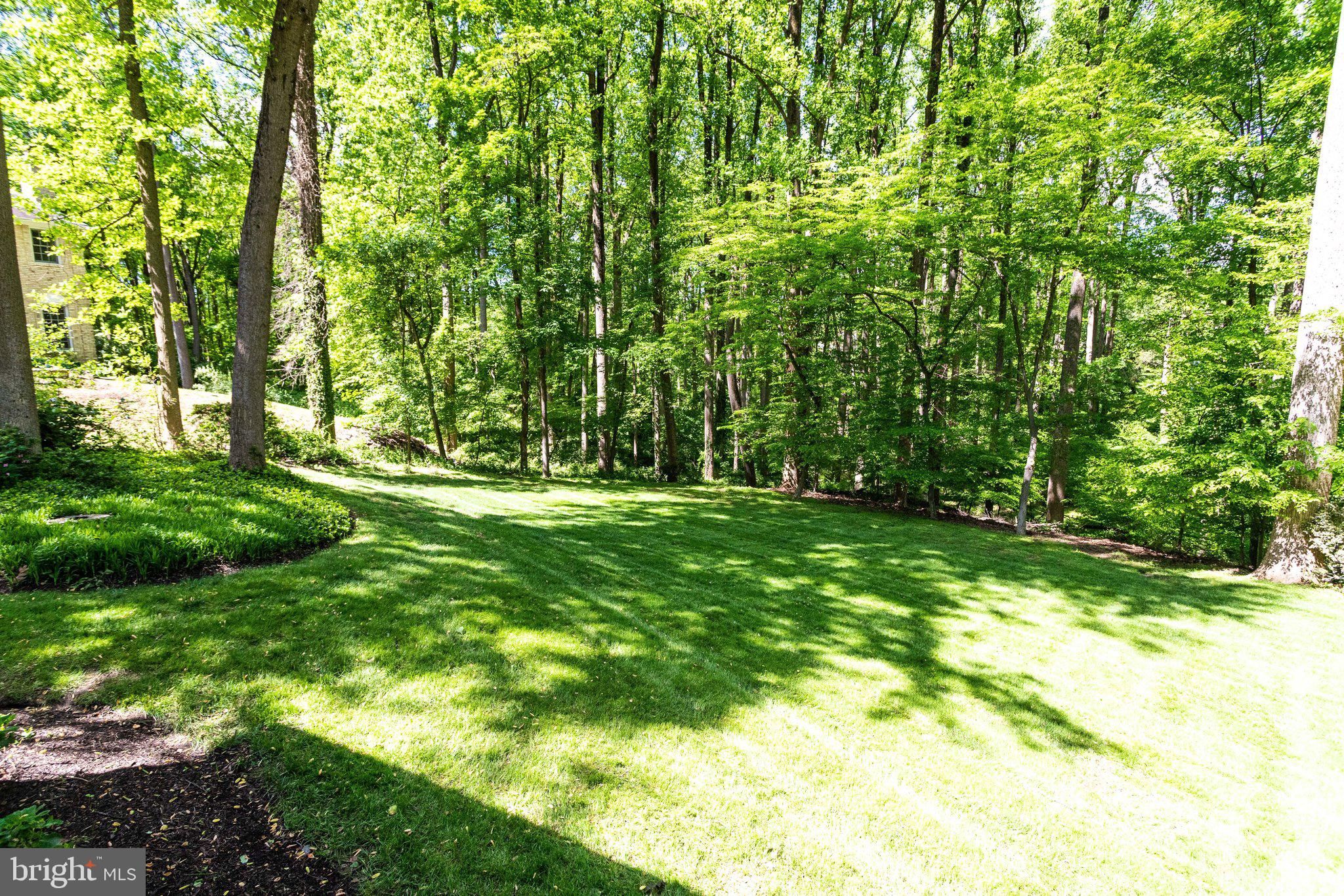 1120 Old Cedar Road McLean, VA 22102 - Photo 43 of 49 Backyard