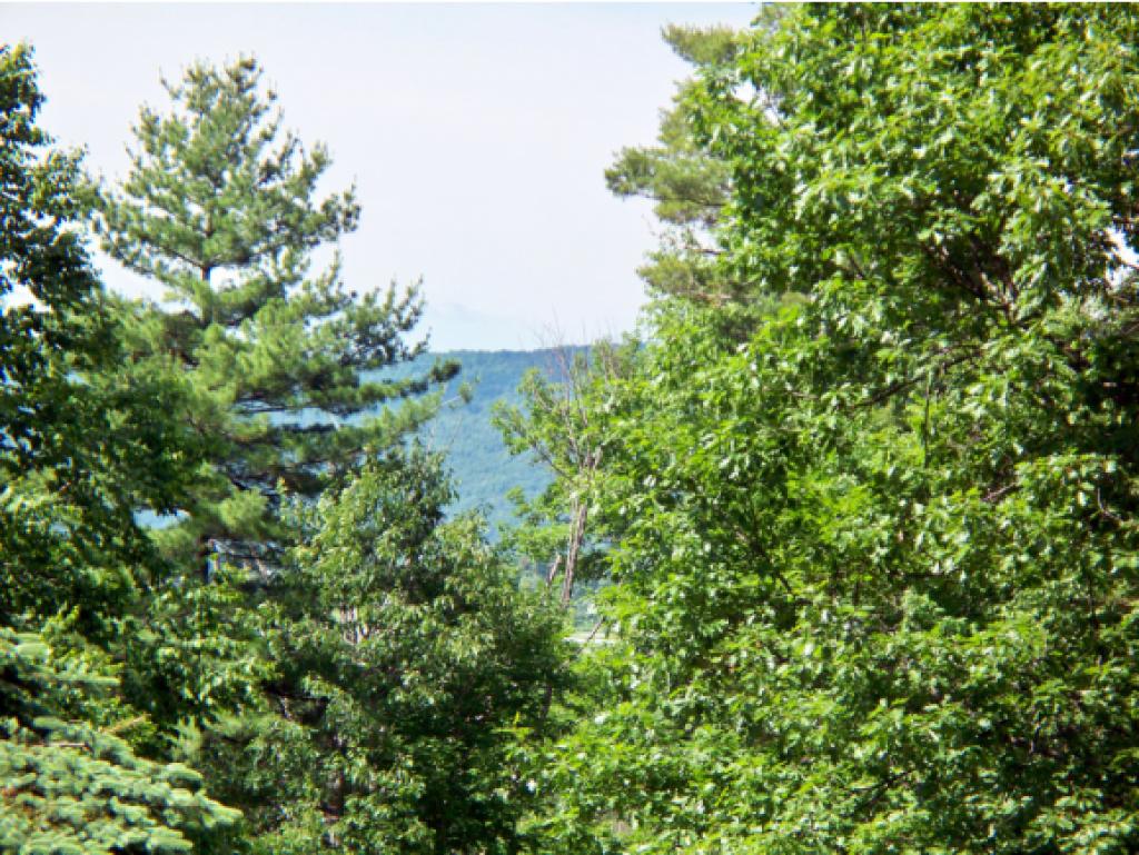1402 East Clarendon Road Clarendon, VT 05759 - Photo 6 of 36