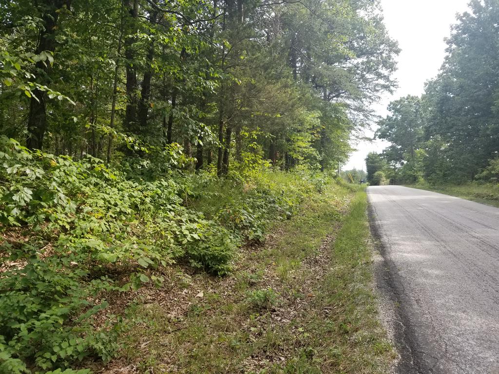 North Creek Road Appomattox, VA 24522 - Photo 1 of 3 Gallery Image 1