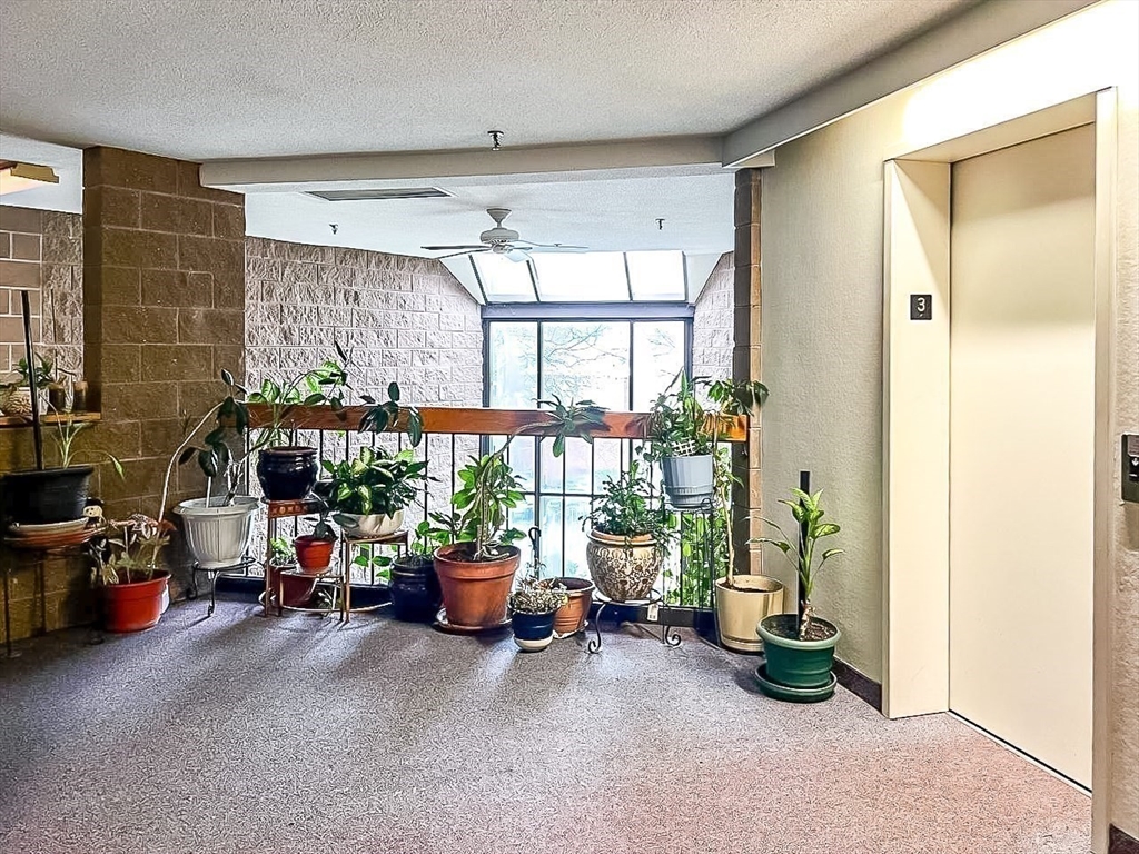 150 Lewis Street, Unit 302 Lynn, MA 01902 - Photo 15 of 18 a view of livingroom with furniture and a window
