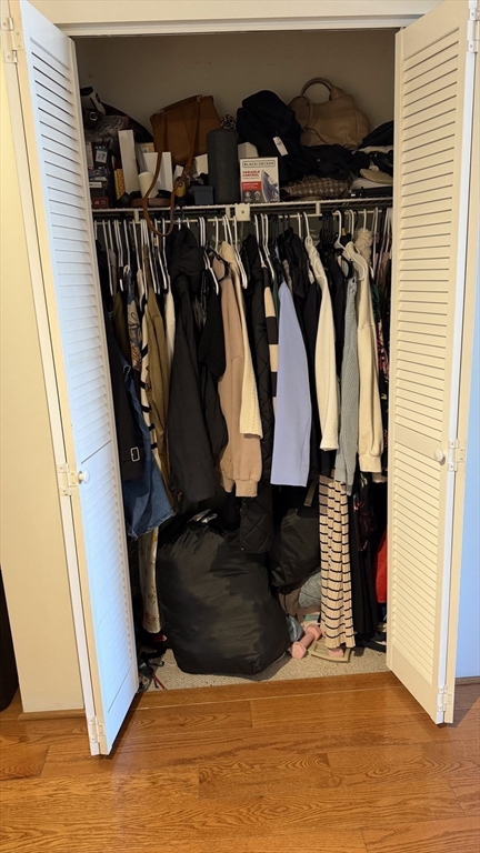 150 Lewis Street, Unit 302 Lynn, MA 01902 - Photo 10 of 18 a view of walk in closet with clothes and shoes