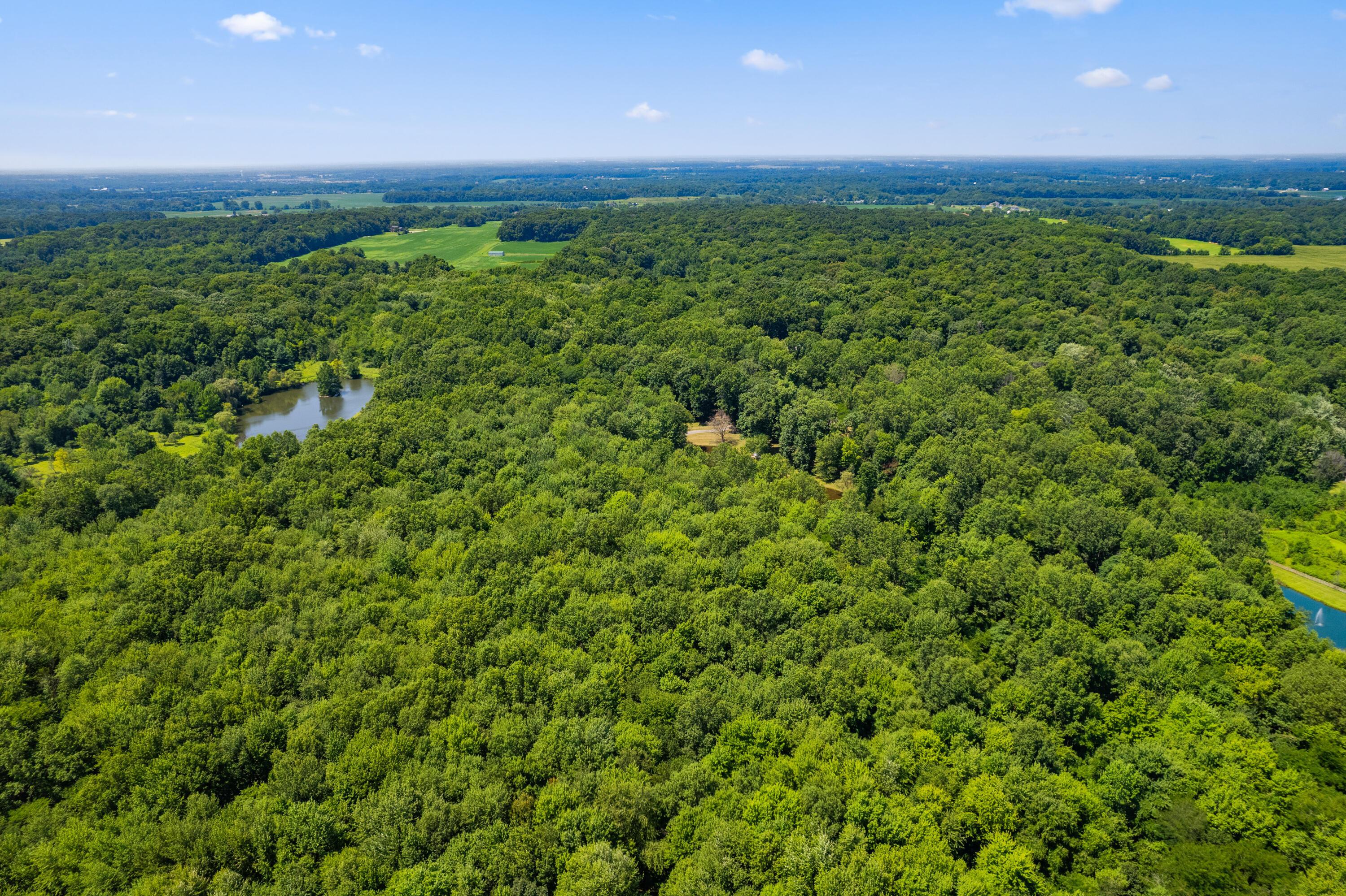 5455 Plantation Road Sunbury, OH 43074 - Photo 171 of 176 Aerial View