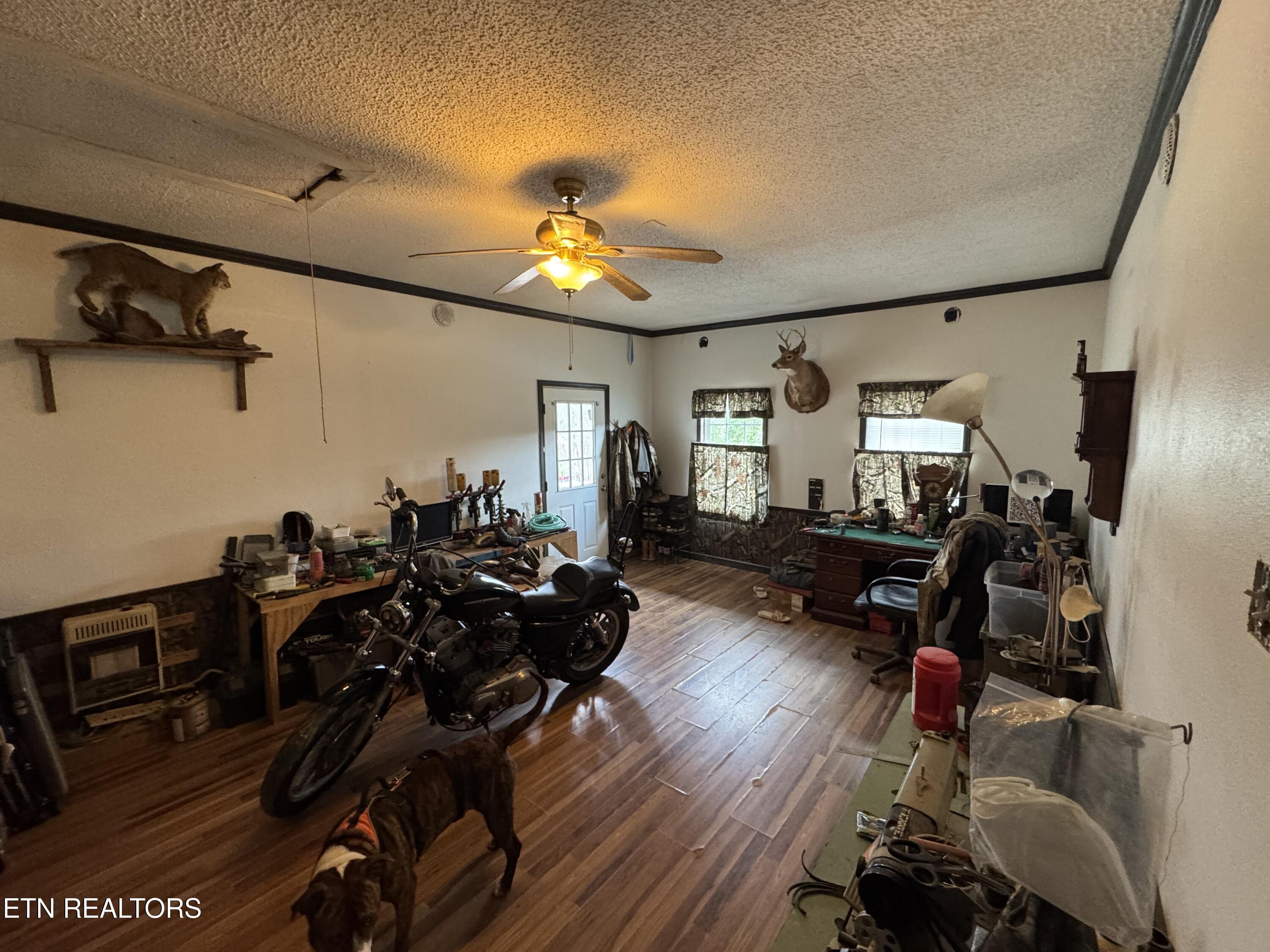 2502 Huntsville Hill Road Helenwood, TN 37755 - Photo 20 of 40 IMG_3137