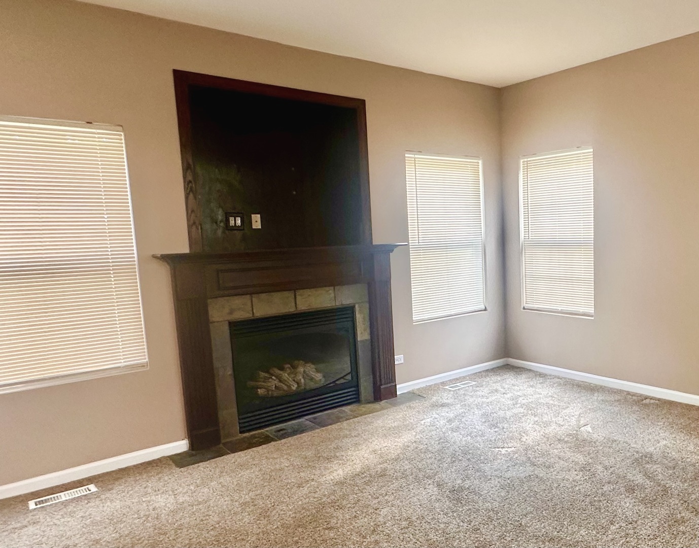 1850 Candlelight Circle Montgomery, IL 60538 - Photo 7 of 29 a living room with a fireplace