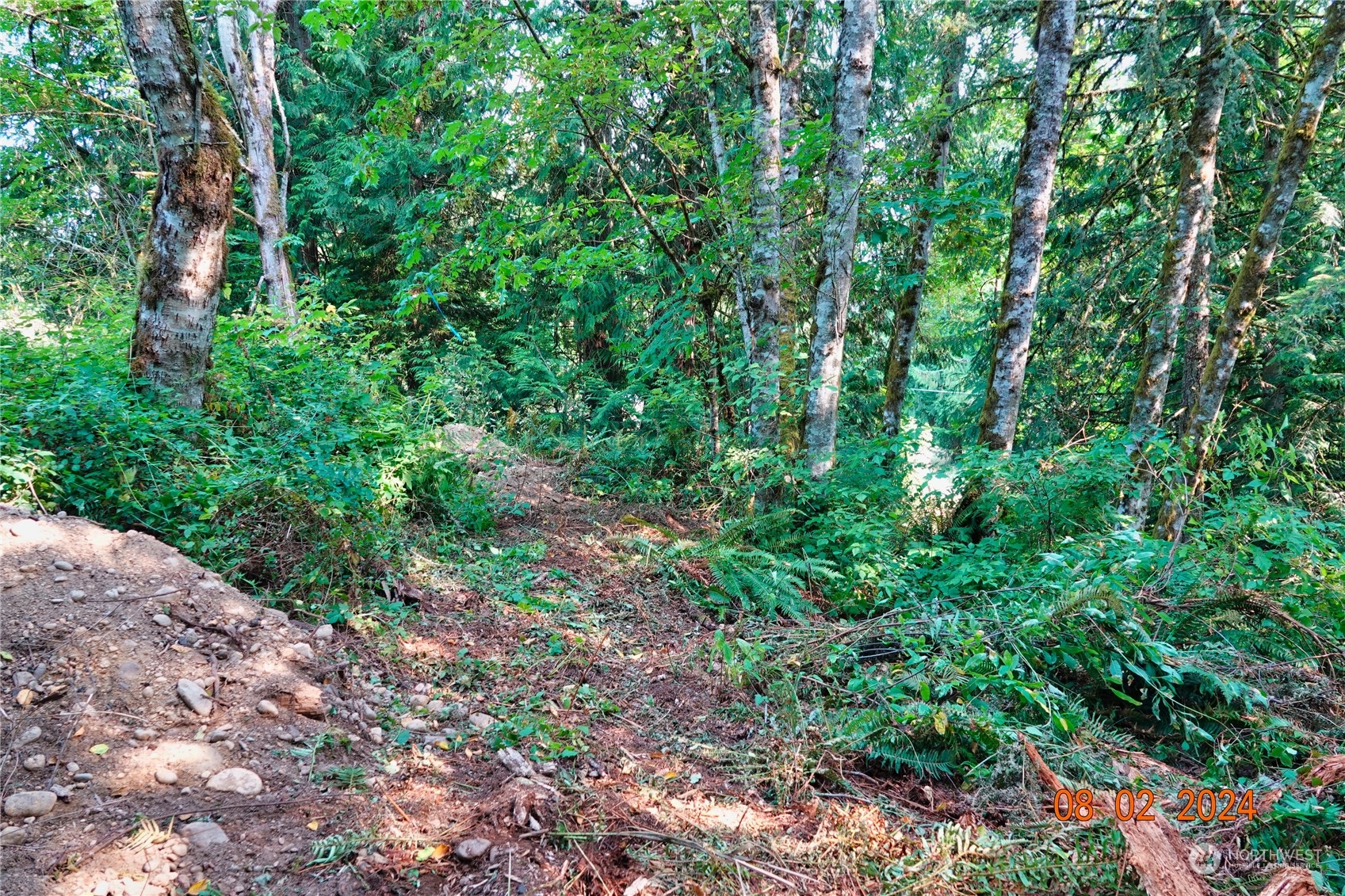 0 283rd Street East Graham, WA 98338 - Photo 11 of 37