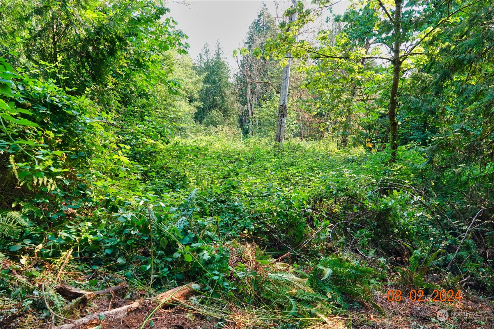 0 283rd Street East Graham, WA 98338 - Photo 12 of 37