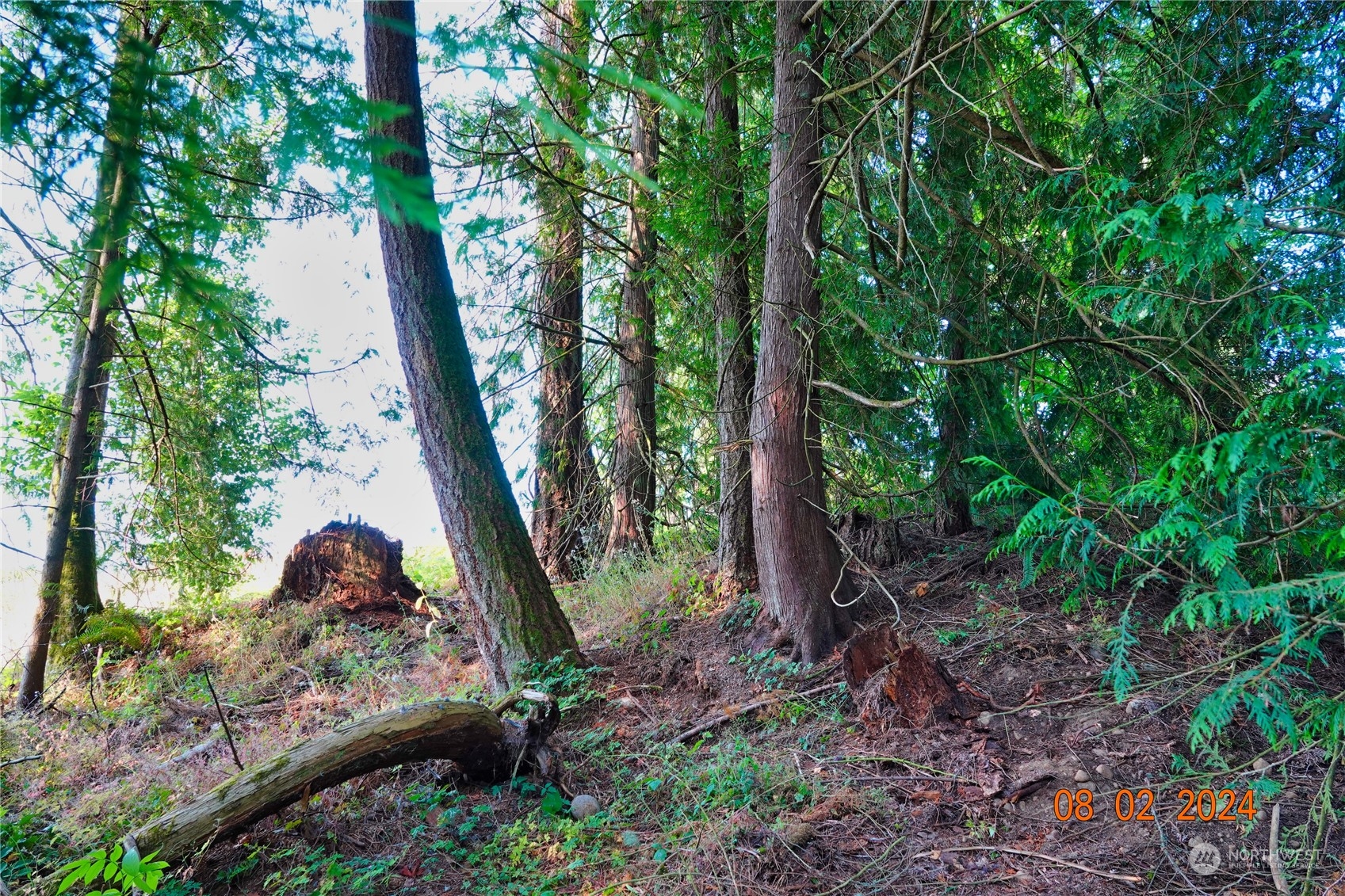 0 283rd Street East Graham, WA 98338 - Photo 14 of 37