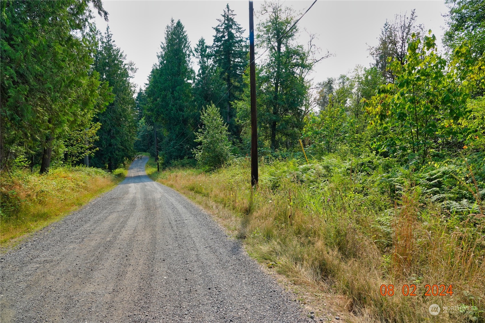 0 283rd Street East Graham, WA 98338 - Photo 17 of 37