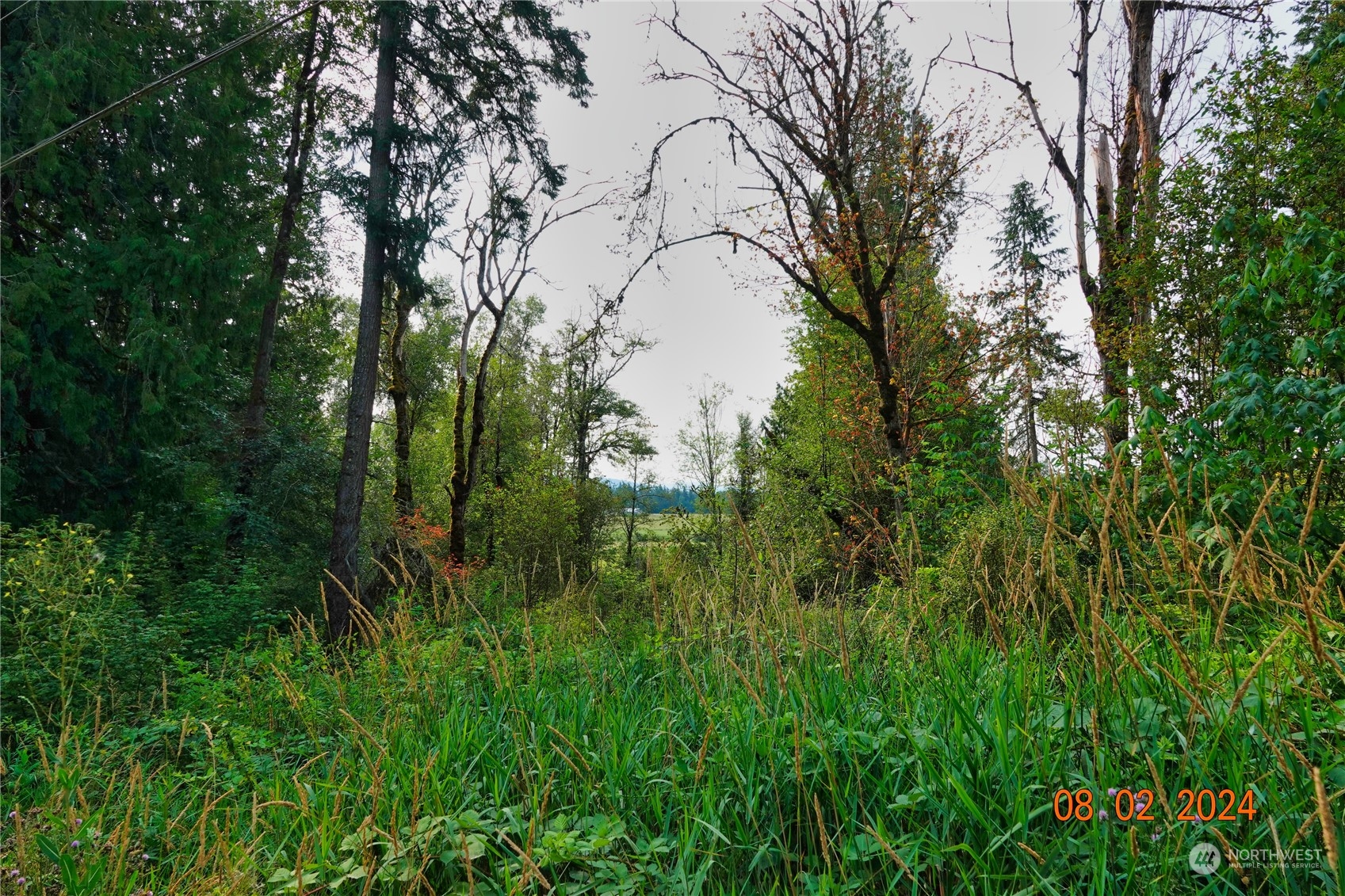 0 283rd Street East Graham, WA 98338 - Photo 19 of 37