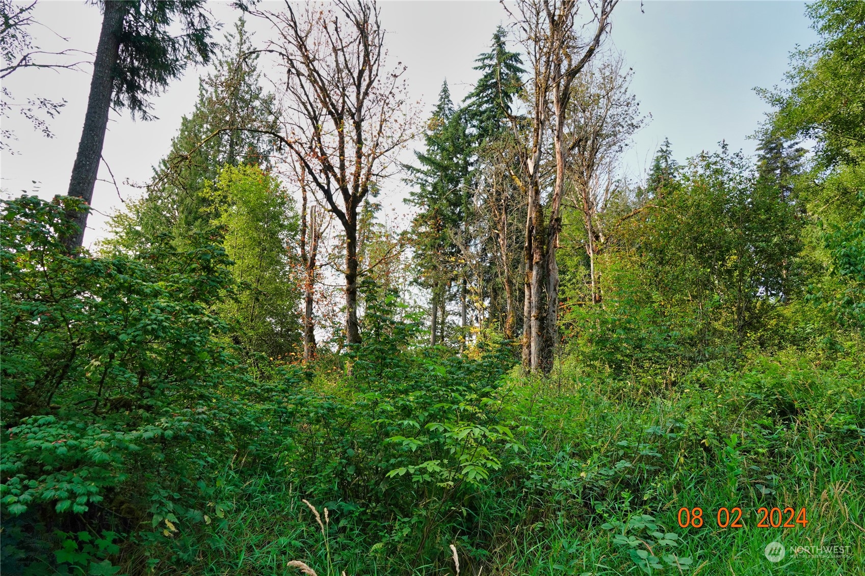 0 283rd Street East Graham, WA 98338 - Photo 20 of 37
