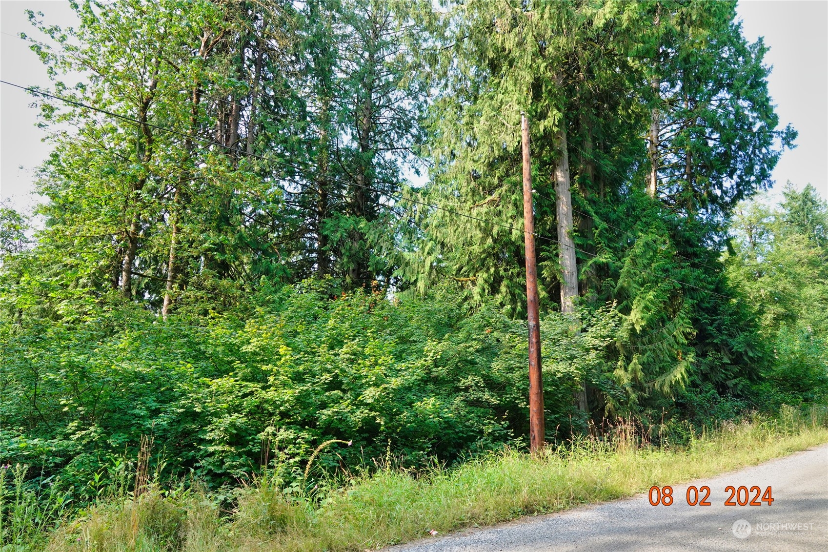 0 283rd Street East Graham, WA 98338 - Photo 22 of 37