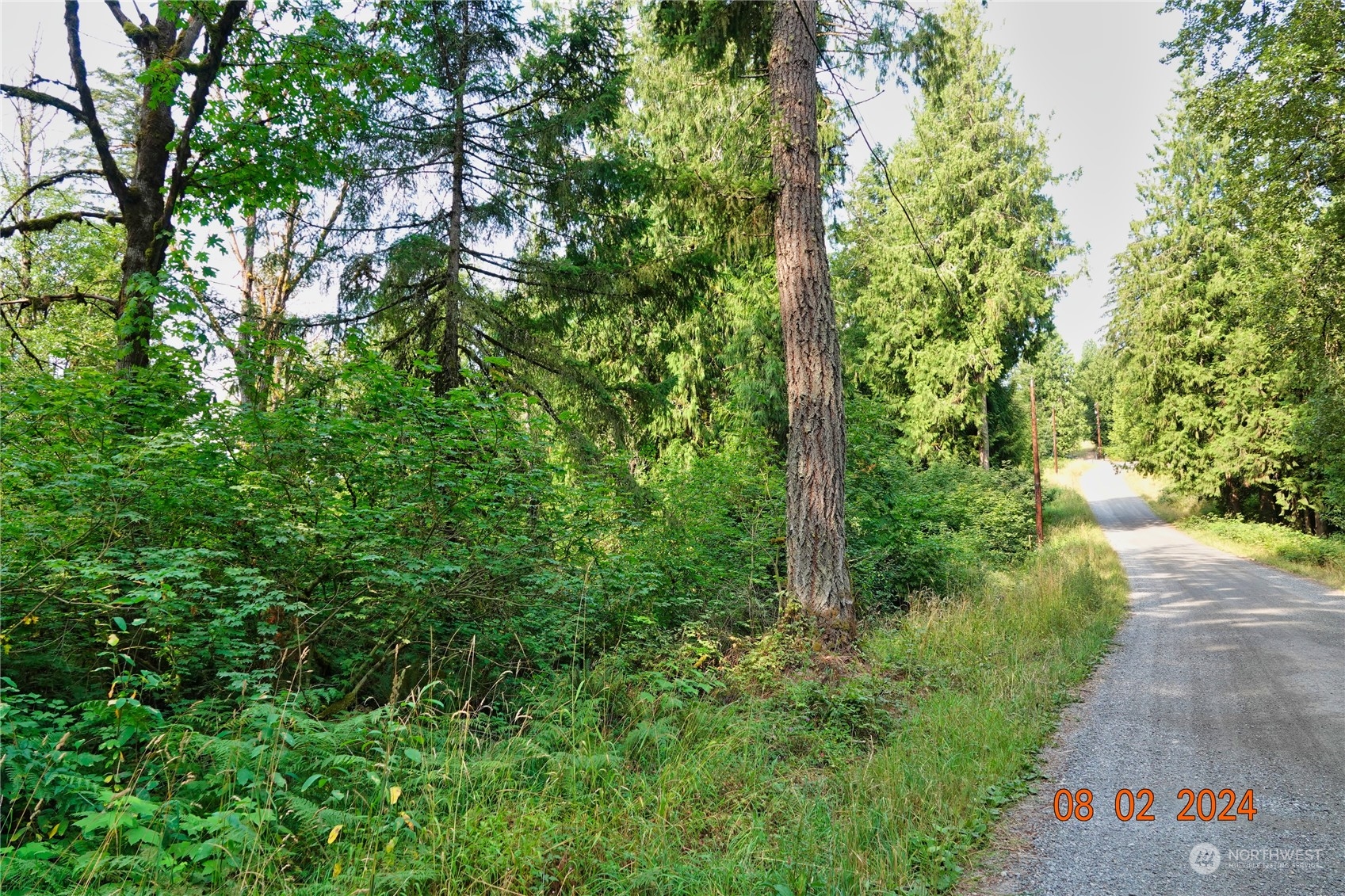 0 283rd Street East Graham, WA 98338 - Photo 23 of 37