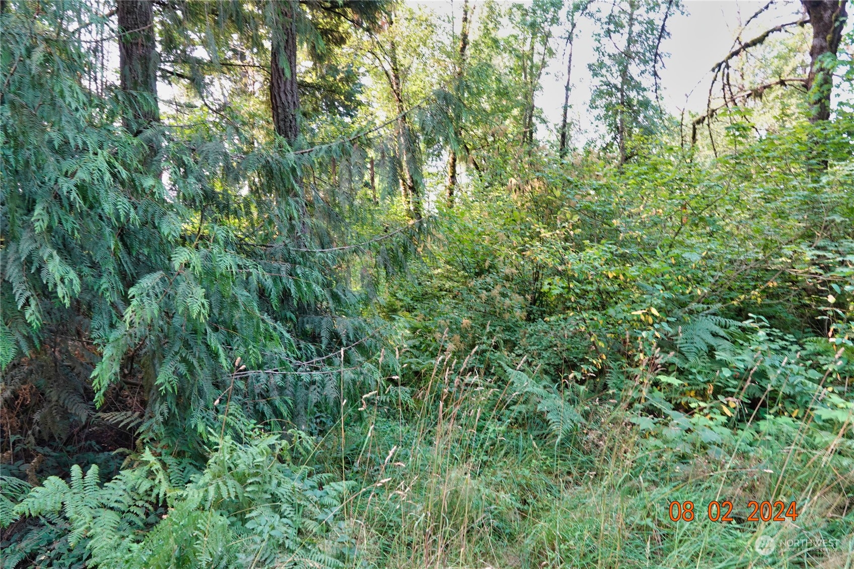 0 283rd Street East Graham, WA 98338 - Photo 24 of 37
