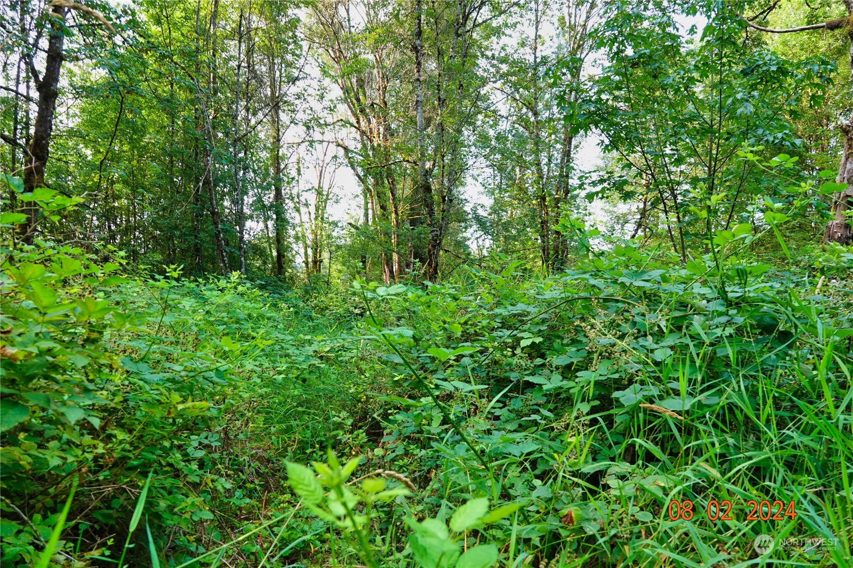 0 283rd Street East Graham, WA 98338 - Photo 27 of 37