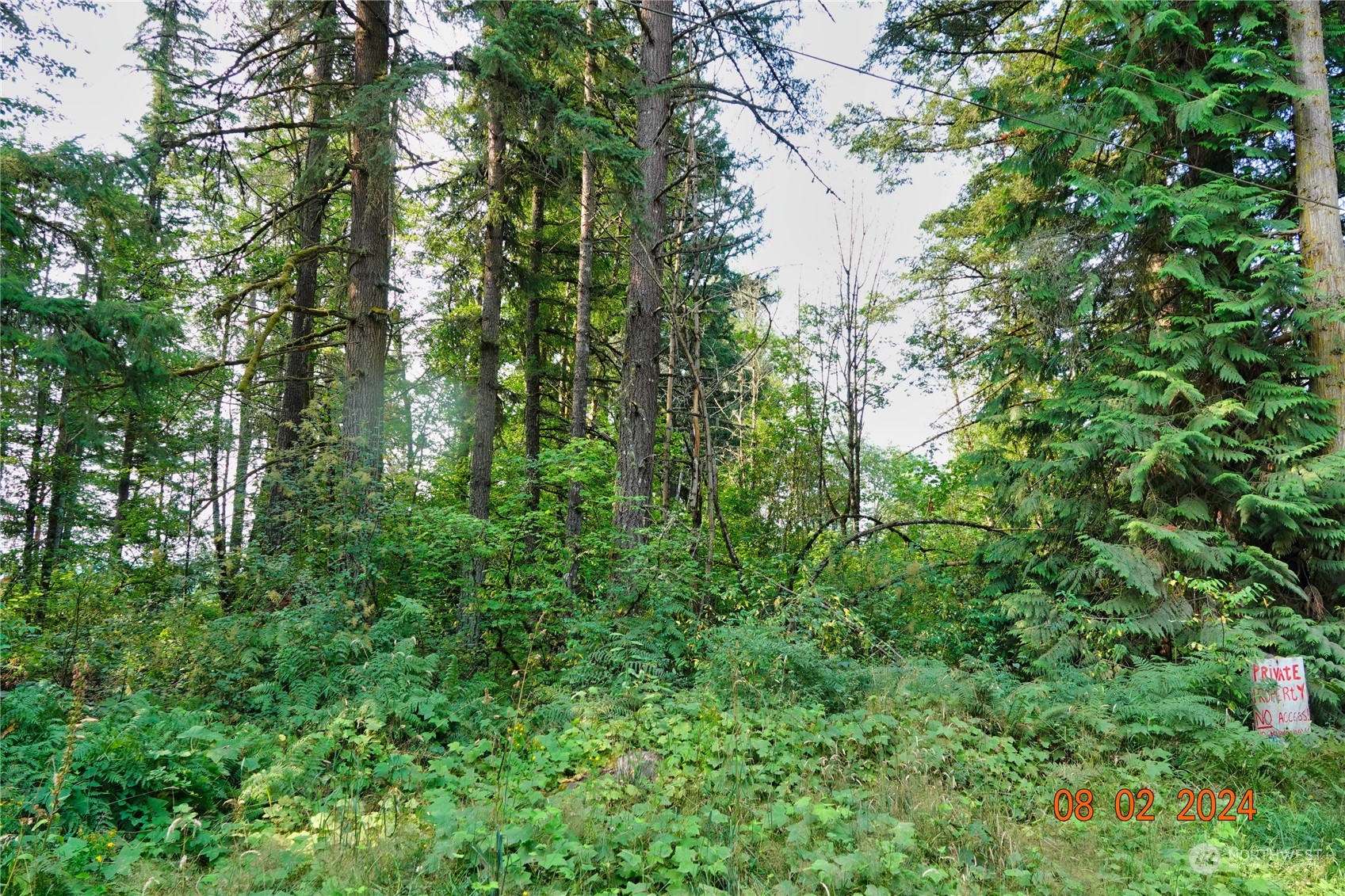 0 283rd Street East Graham, WA 98338 - Photo 28 of 37