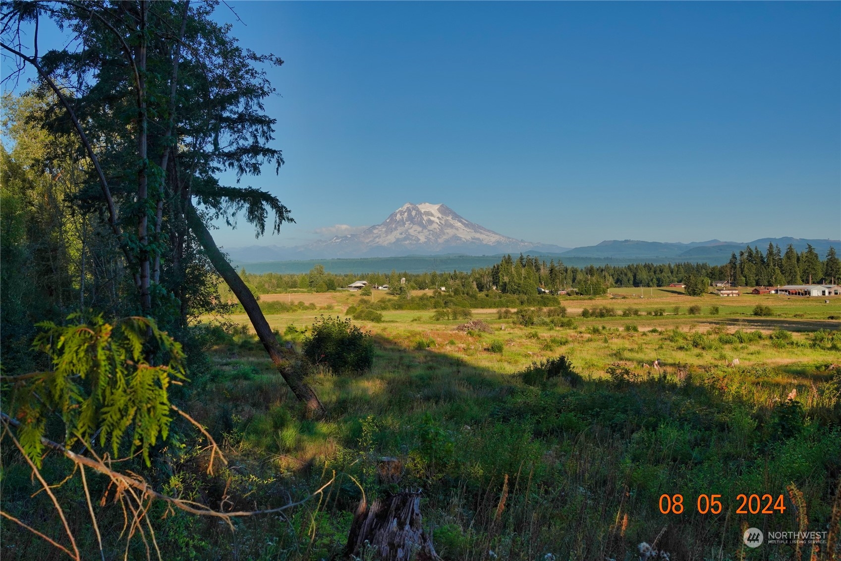 0 283rd Street East Graham, WA 98338 - Photo 31 of 37