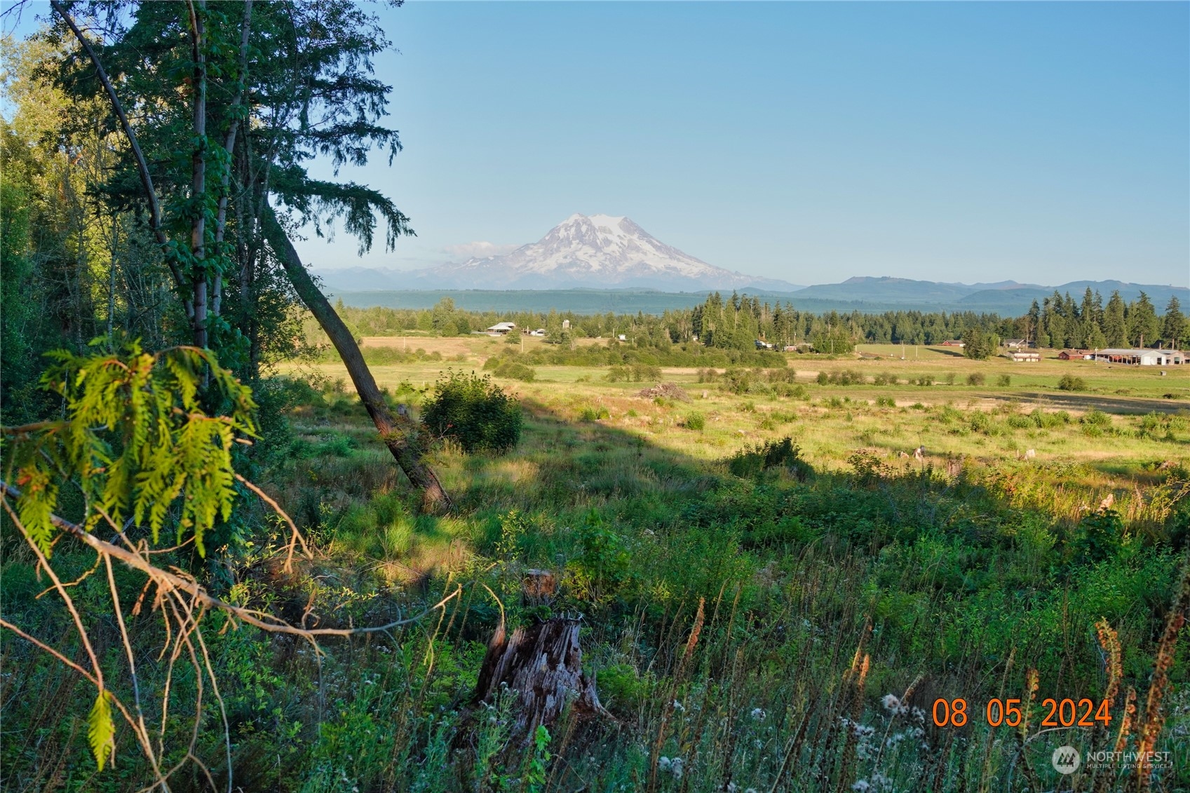 0 283rd Street East Graham, WA 98338 - Photo 32 of 37