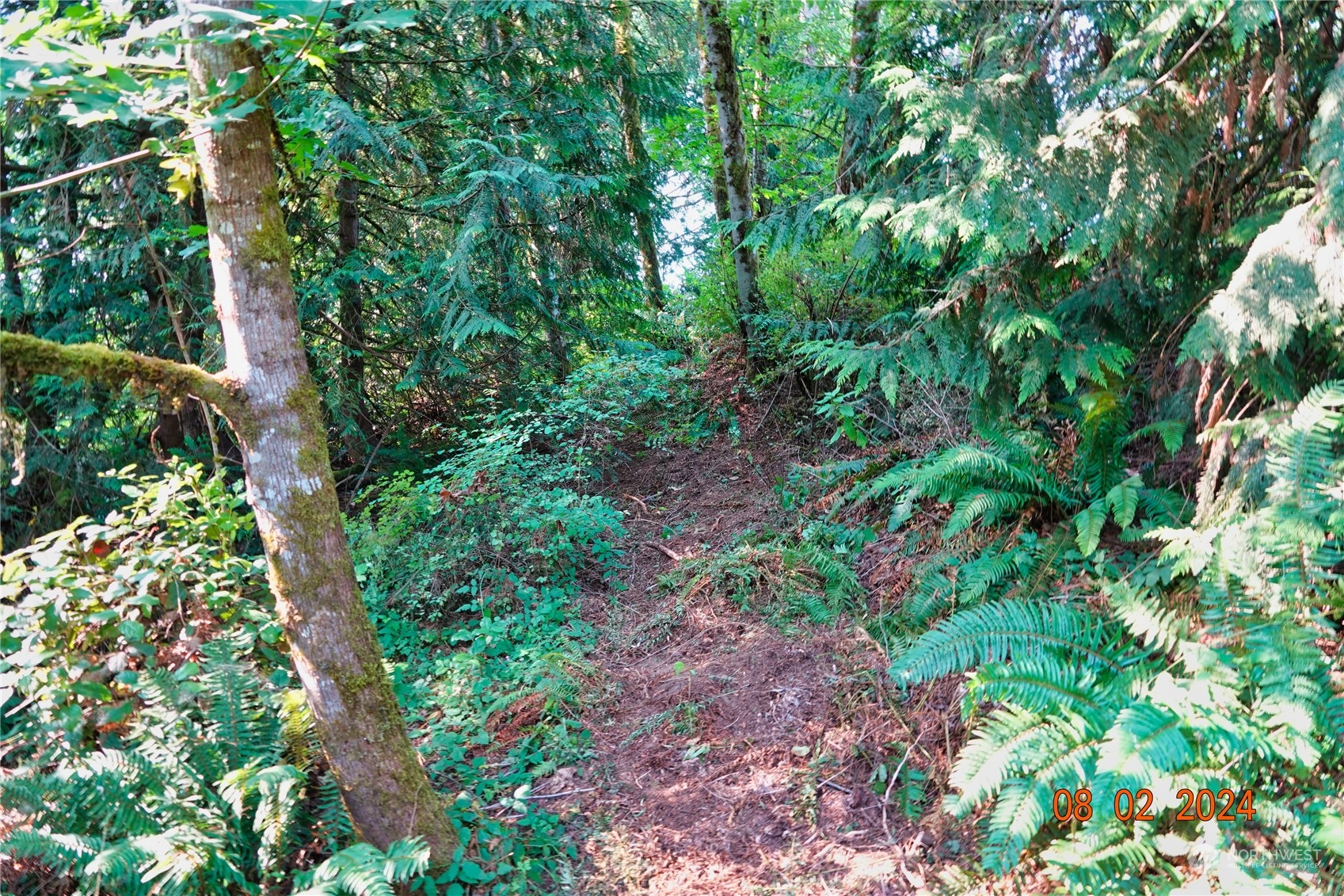 0 283rd Street East Graham, WA 98338 - Photo 7 of 37