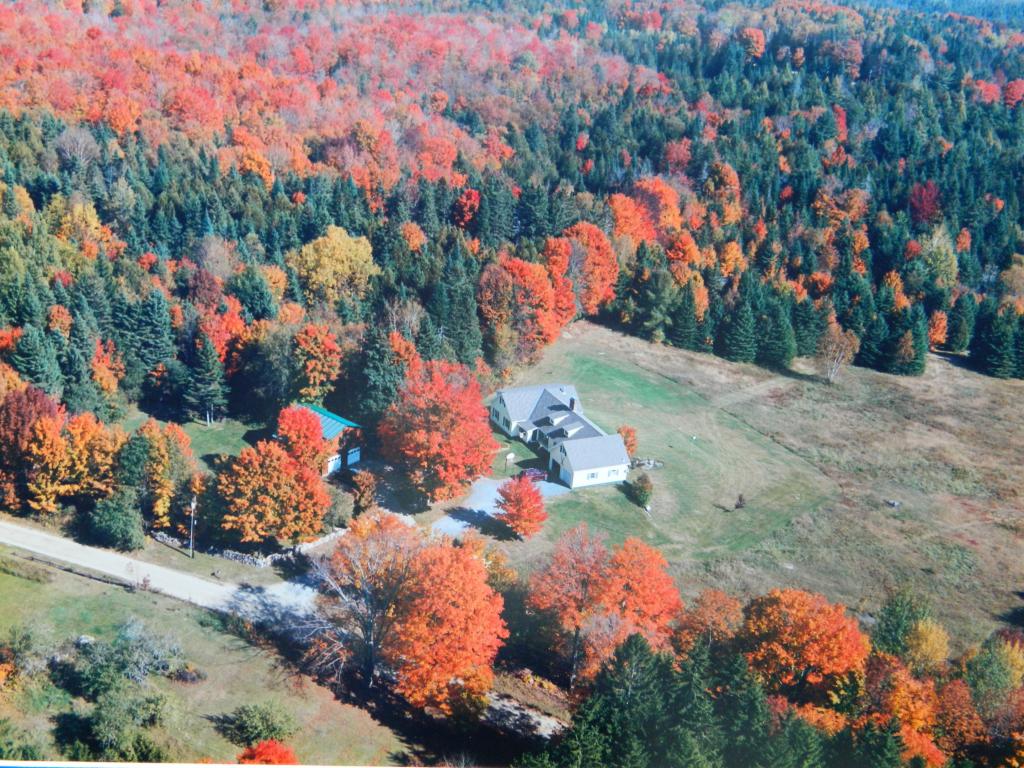 388 Dolloff Pond Road Sutton, VT 05867 - Photo 1 of 36 Gallery Image 1