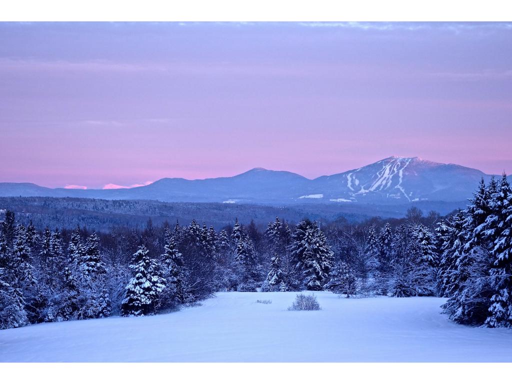 388 Dolloff Pond Road Sutton, VT 05867 - Photo 23 of 36 Gallery Image 23