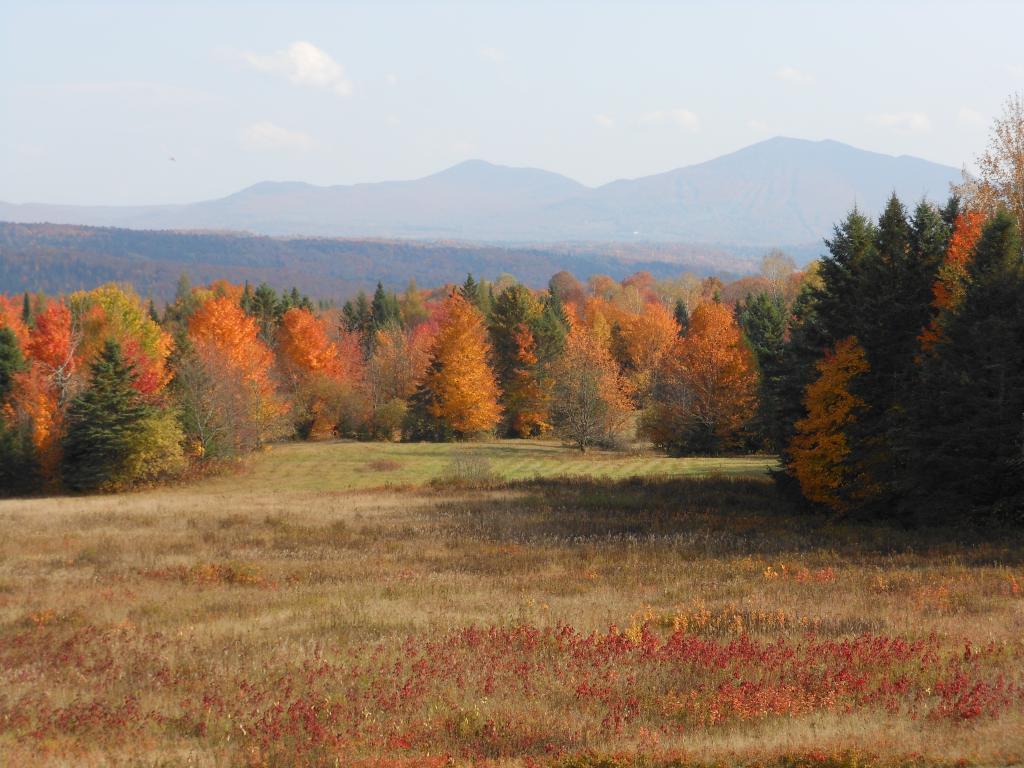 388 Dolloff Pond Road Sutton, VT 05867 - Photo 26 of 36 Gallery Image 26