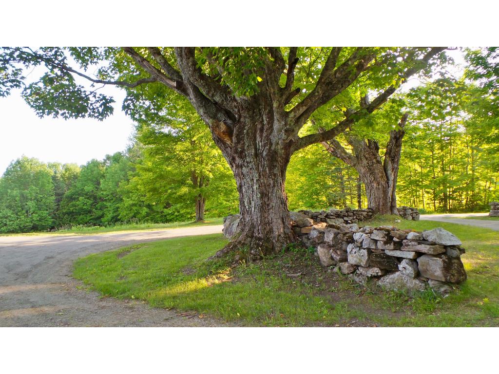 388 Dolloff Pond Road Sutton, VT 05867 - Photo 29 of 36 Gallery Image 29