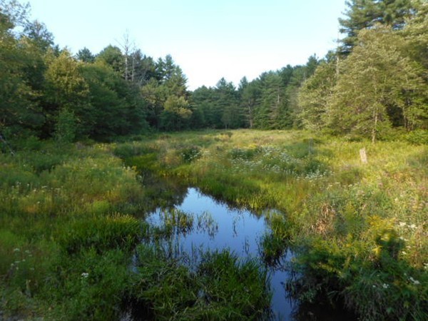 9 Murphy Road North Brookfield, MA 01535 - Photo 13 of 25 a view of a lake and green valley