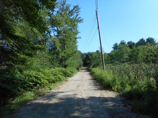 9 Murphy Road North Brookfield, MA 01535 - Photo 14 of 25 a view of a pathway along a garden