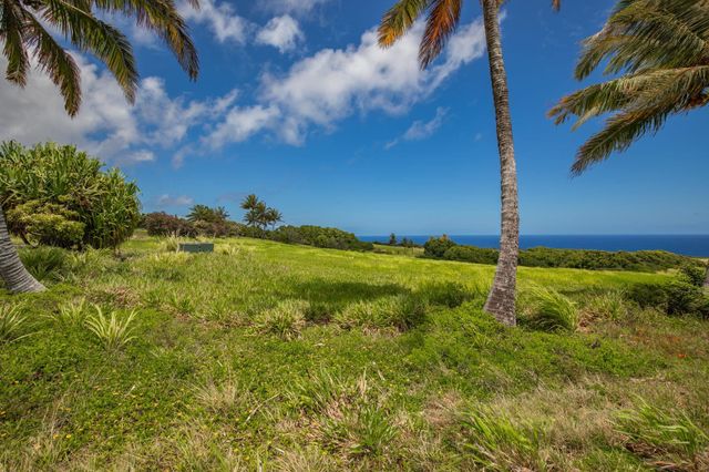 a yard with swimming pool and green space