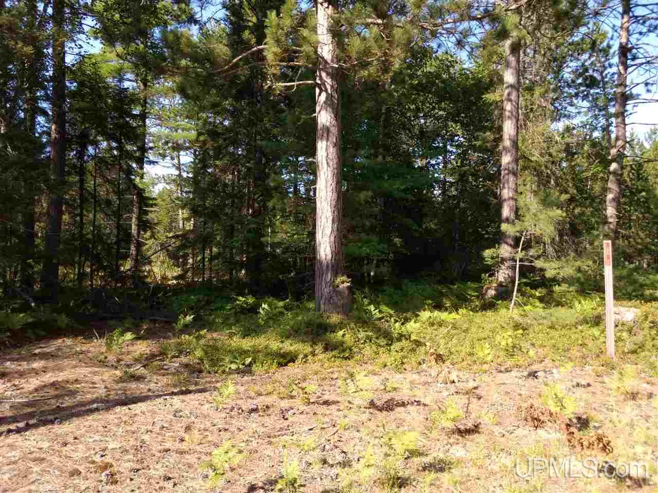 Unit 38-tbd Little Rice Lake Road, Unit 38 Lake Linden, MI 49945 - Photo 5 of 28
