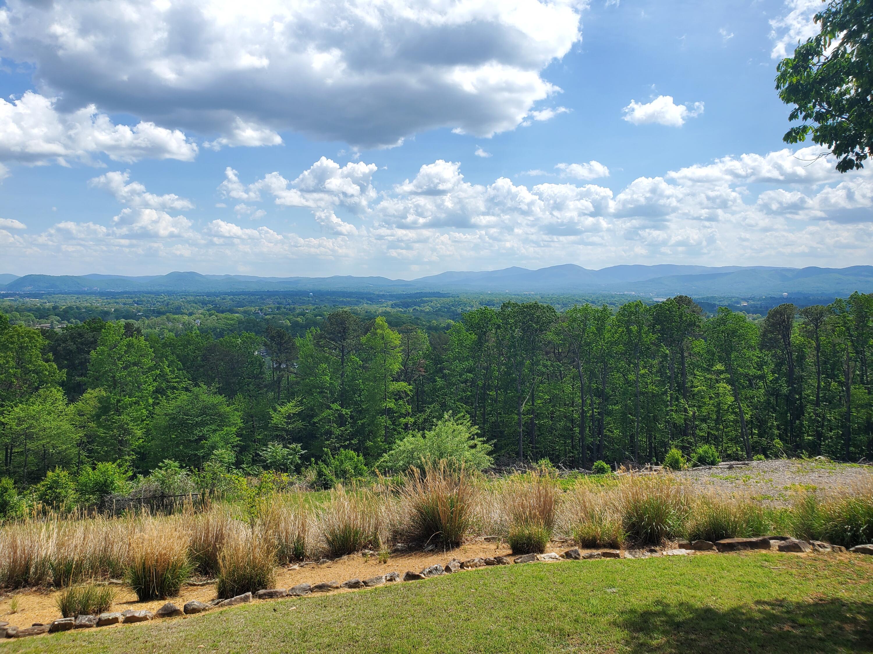 2525 Timberview Road Roanoke, VA 24019 - Photo 2 of 53 20250430_143758
