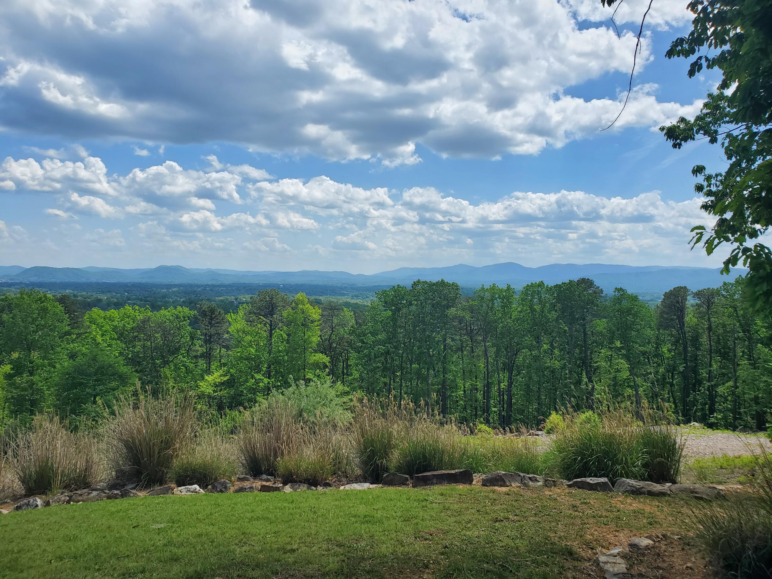 2525 Timberview Road Roanoke, VA 24019 - Photo 3 of 53 20250430_140555