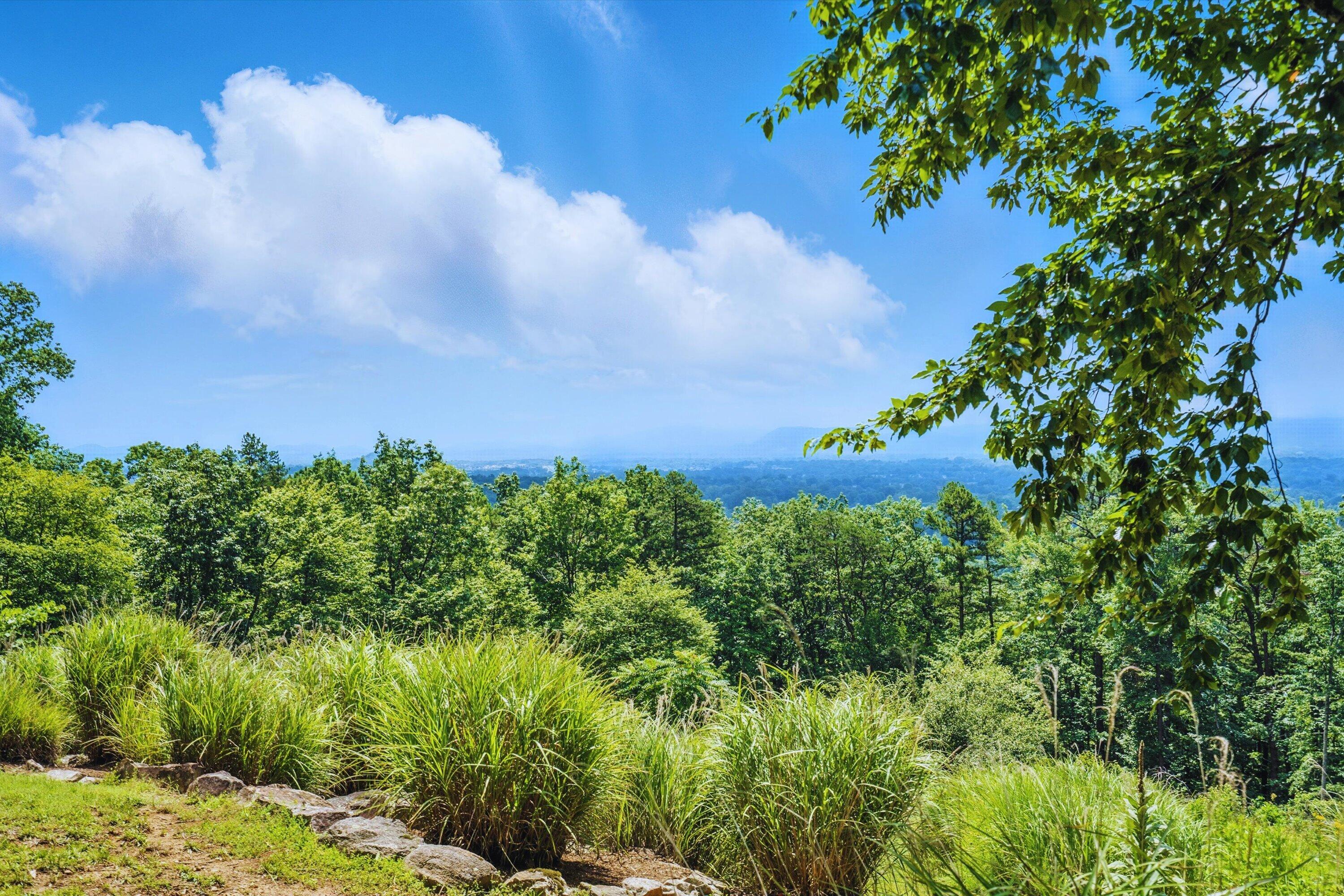 2525 Timberview Road Roanoke, VA 24019 - Photo 5 of 53 40-DSC00005 - Edited